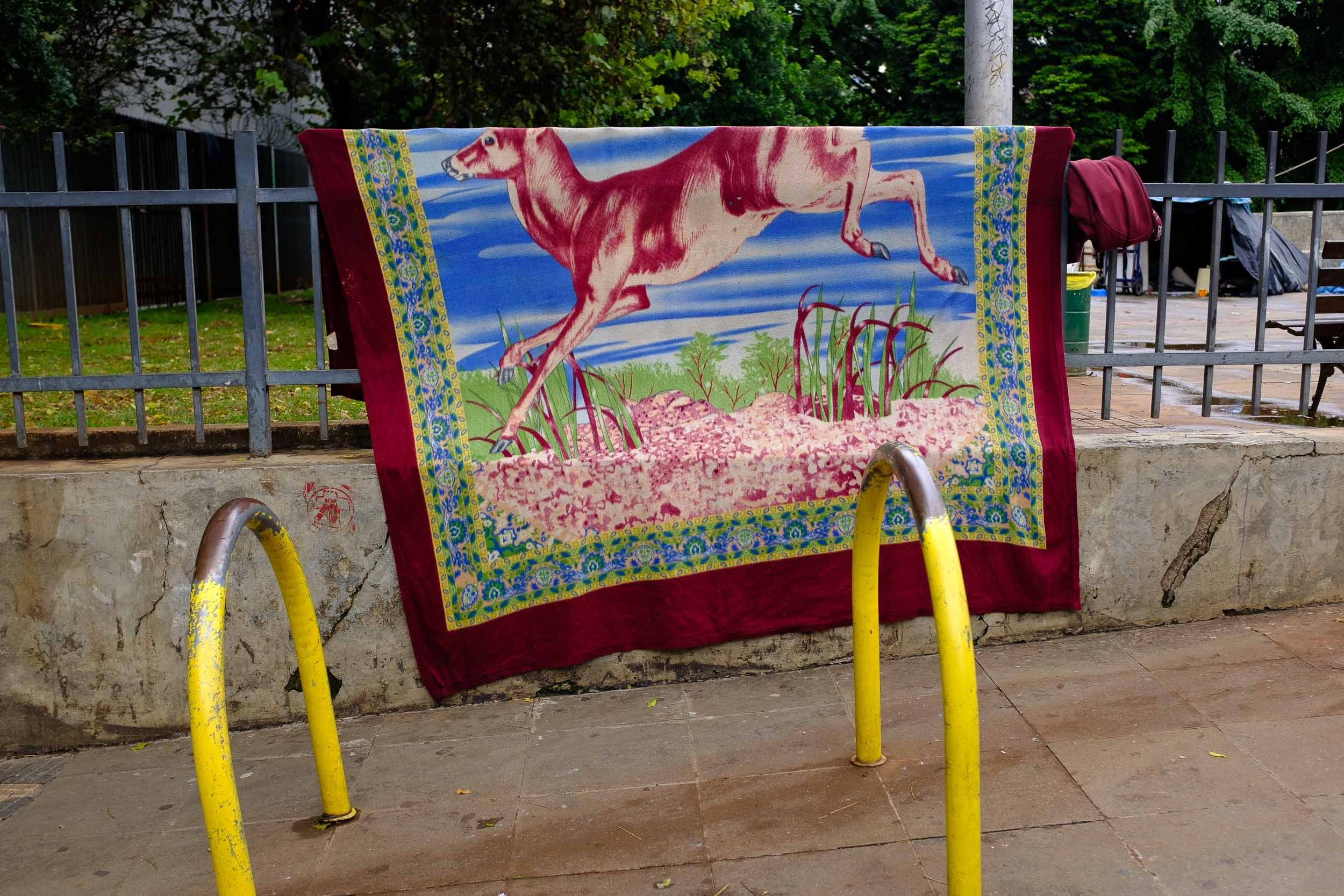 DSCF7363.jpg