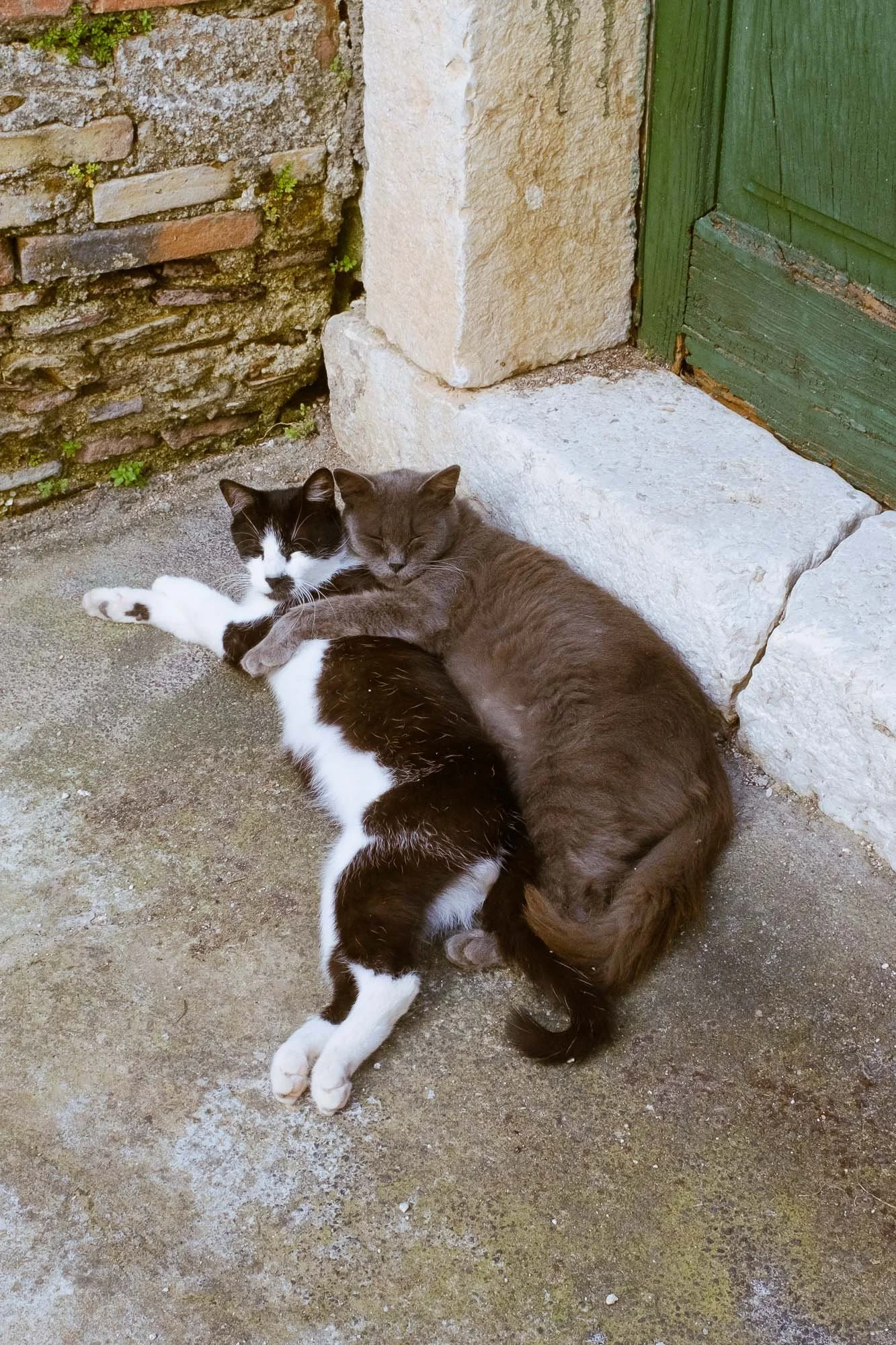 DSCF8629-2.jpg
