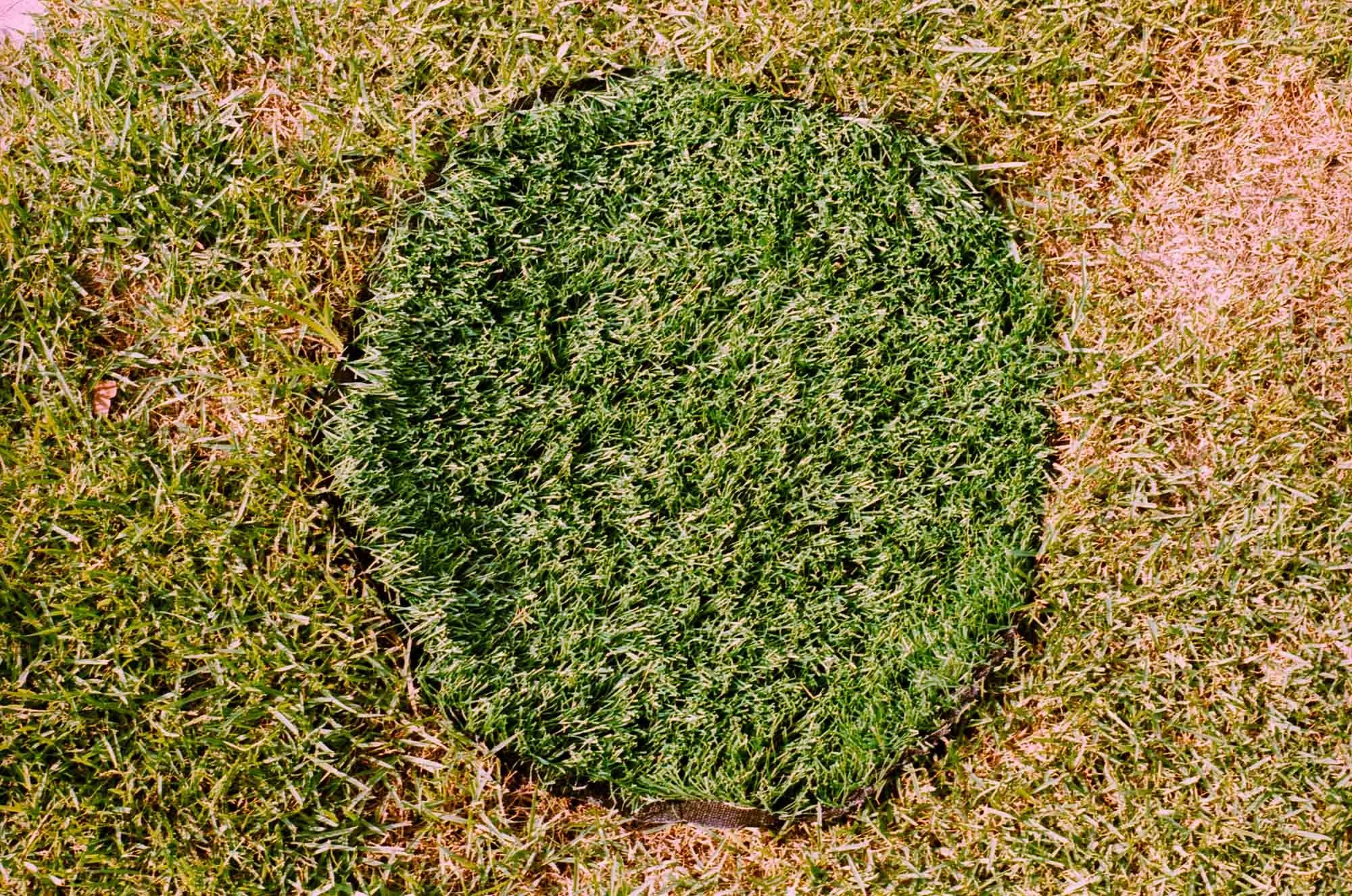 bona_35_01_20.jpg