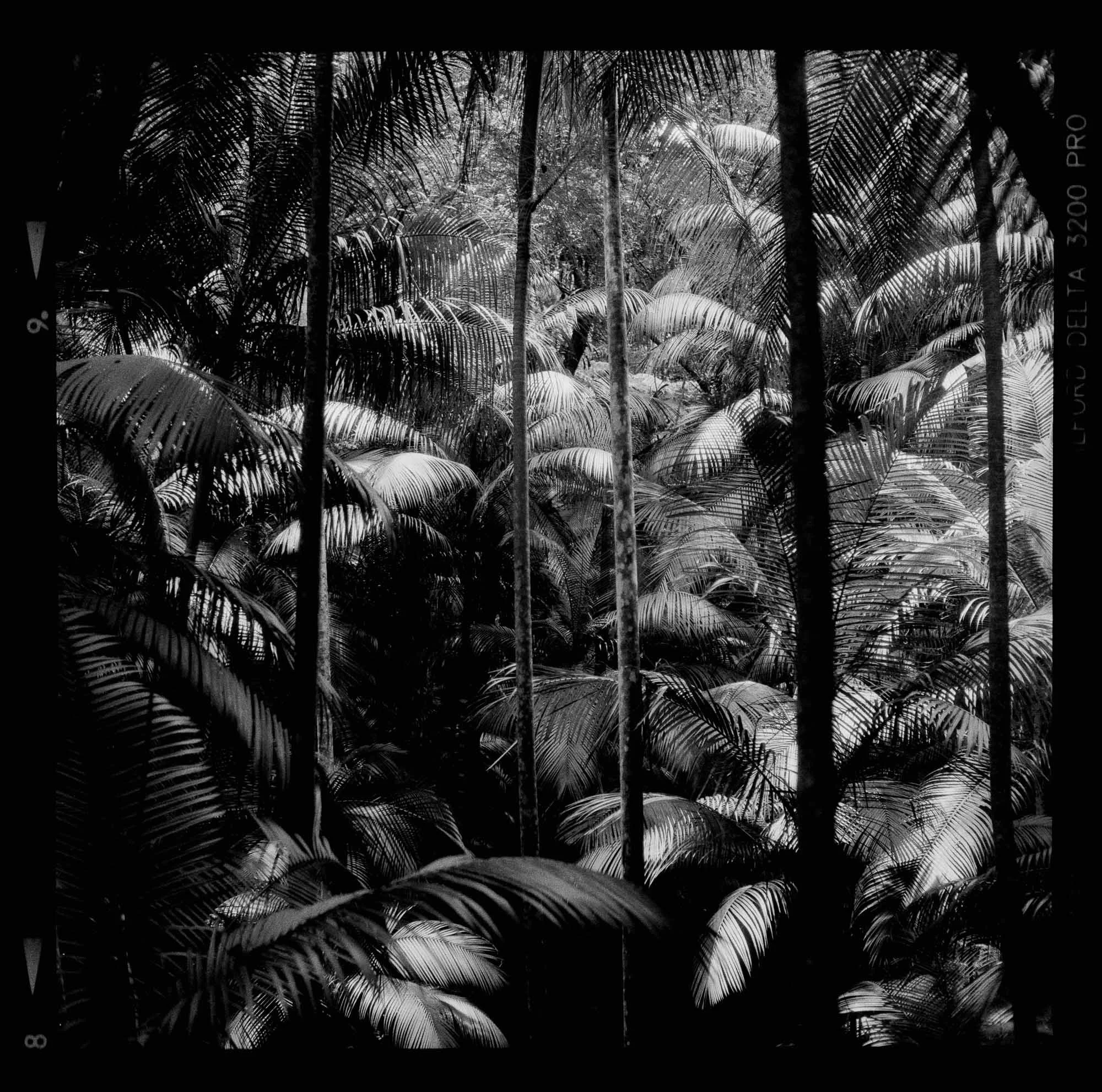 [10] Ilford Delta 3200 - 120-Pano-2.jpg