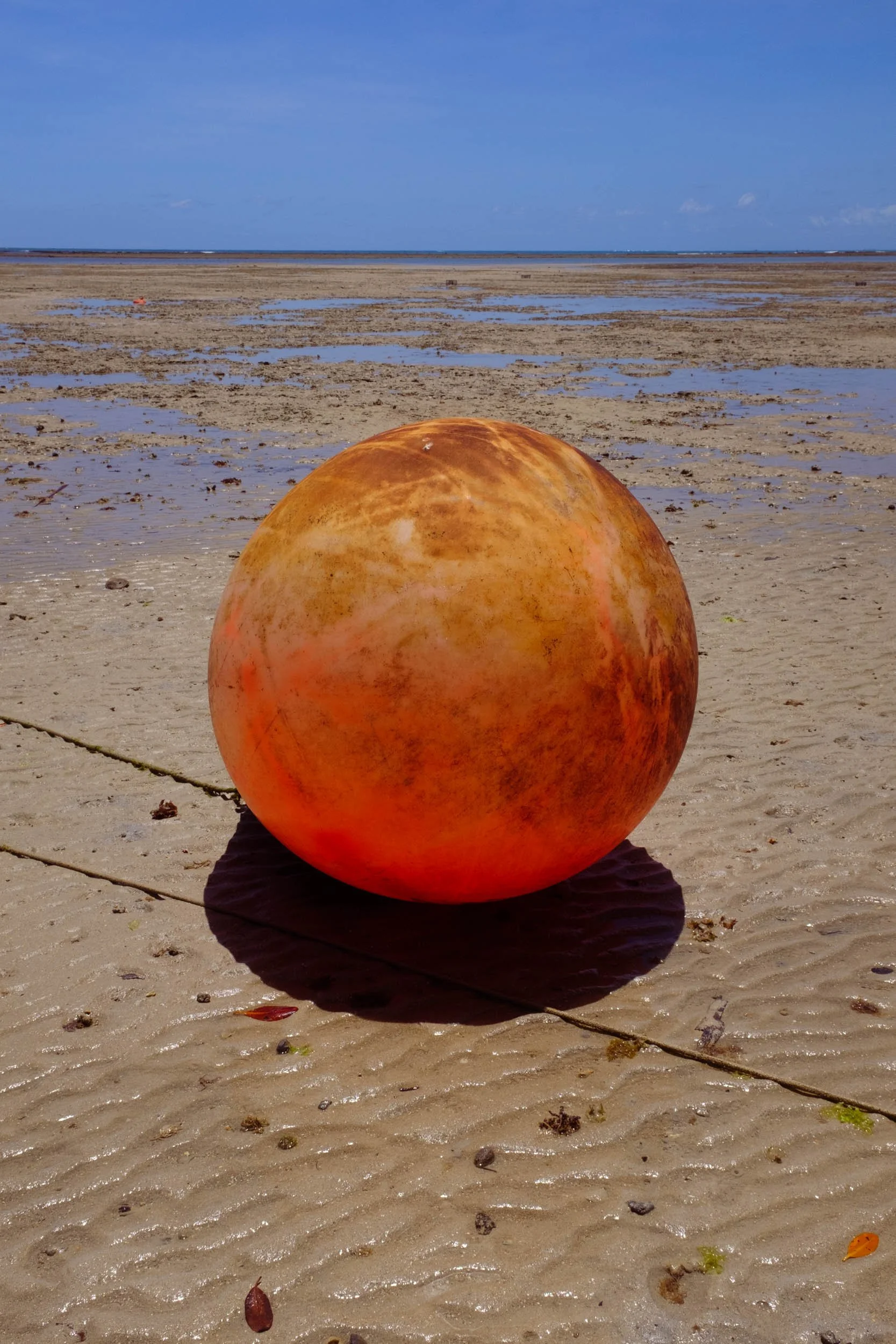 DSCF0013.jpg