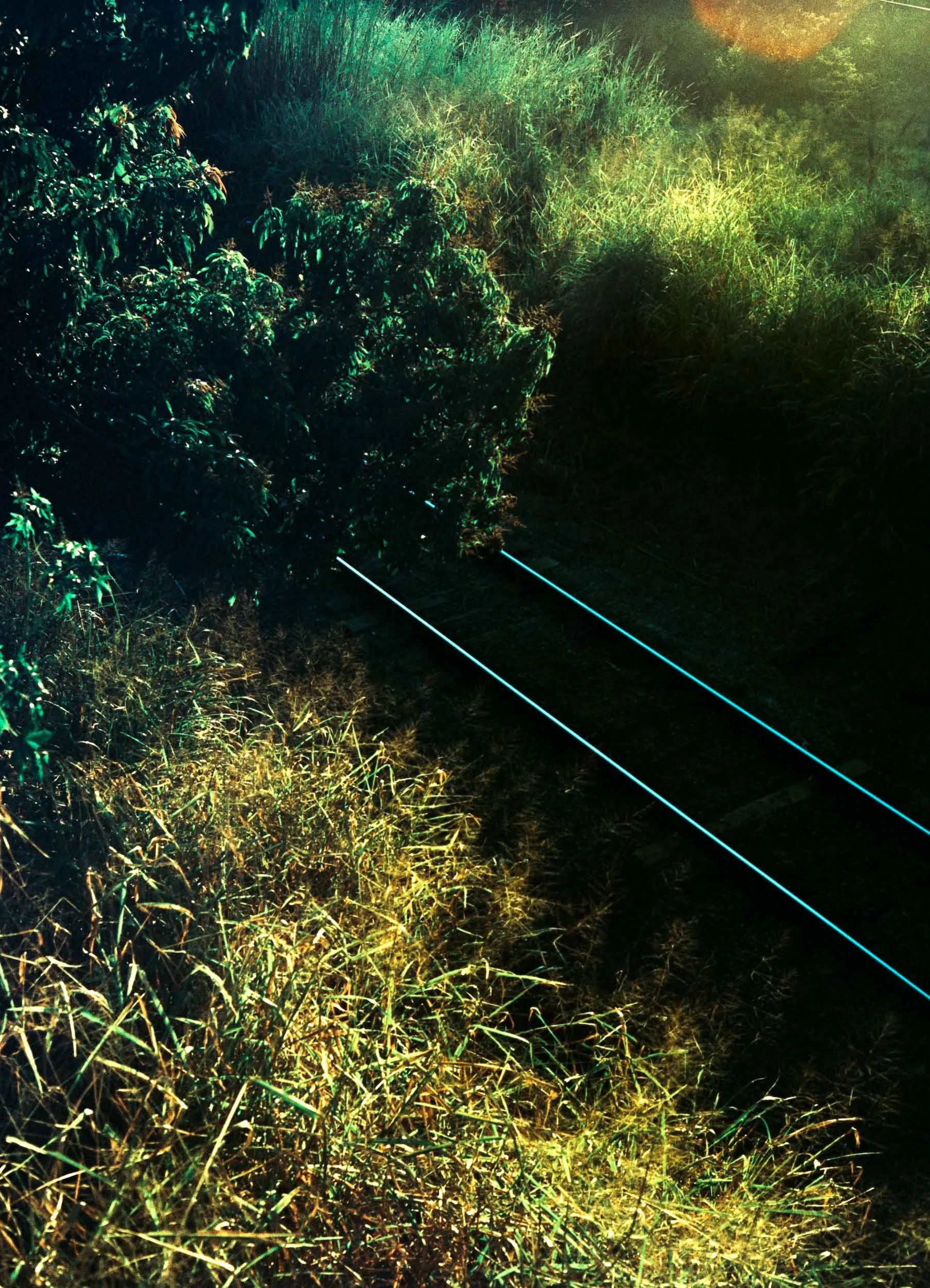 13 - Velvia 100.jpg