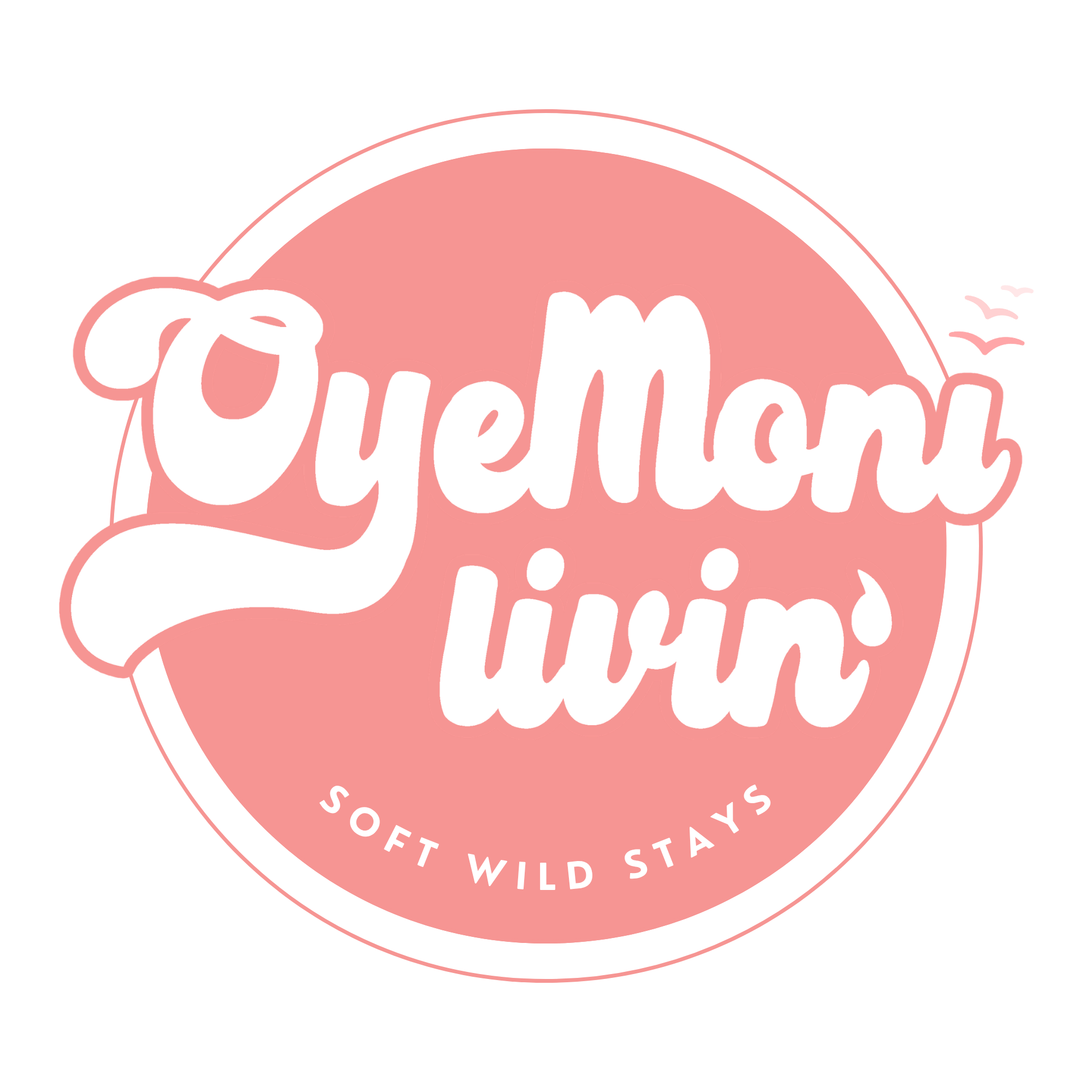 Pink circular graphic with white cursive text reading 'Queen' and smaller white text around the edge that says 'Protect Wild Stay Wild' and 'So.' A white silhouette of a bird and small flying birds are also part of the design.