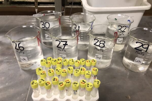 Experimental Setup
