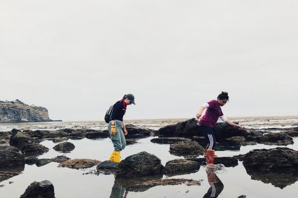 Tidepool Exploration