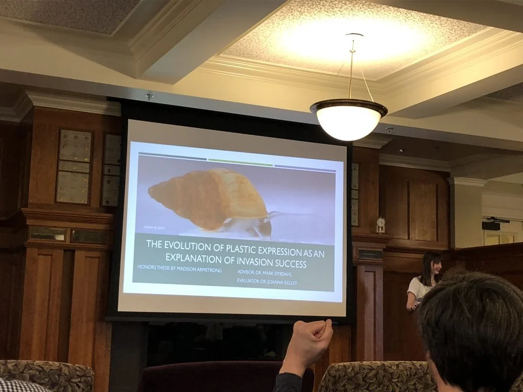 WSU Honor’s Thesis Presentation