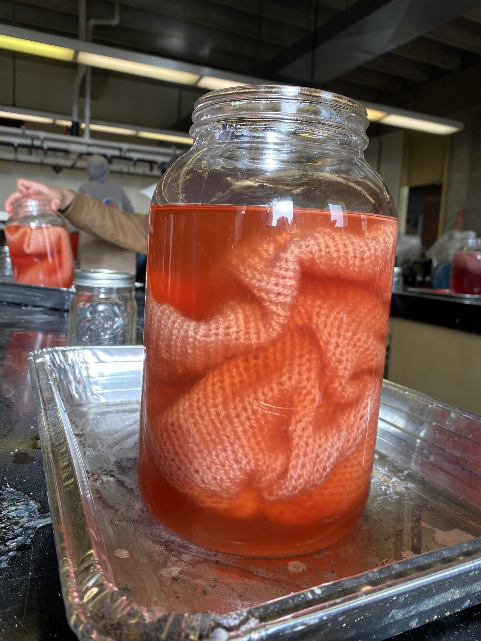 urchin-spine dye bath with a wool hat inside!