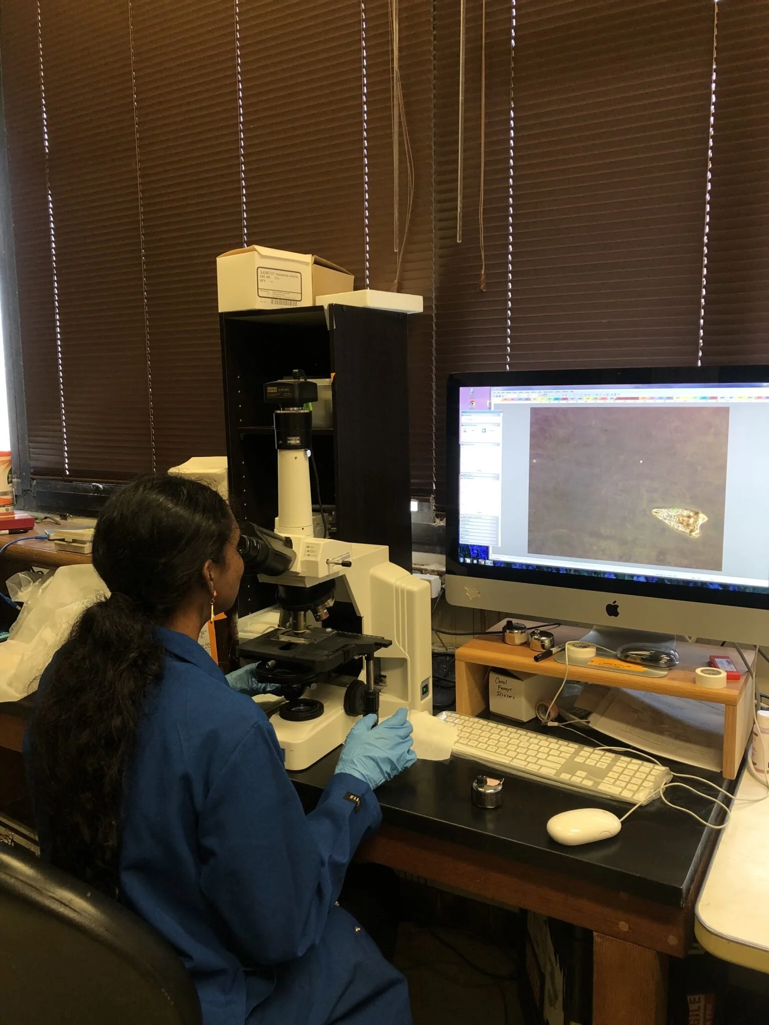 Hardworking undergraduate mentee Sindhu at the microscope