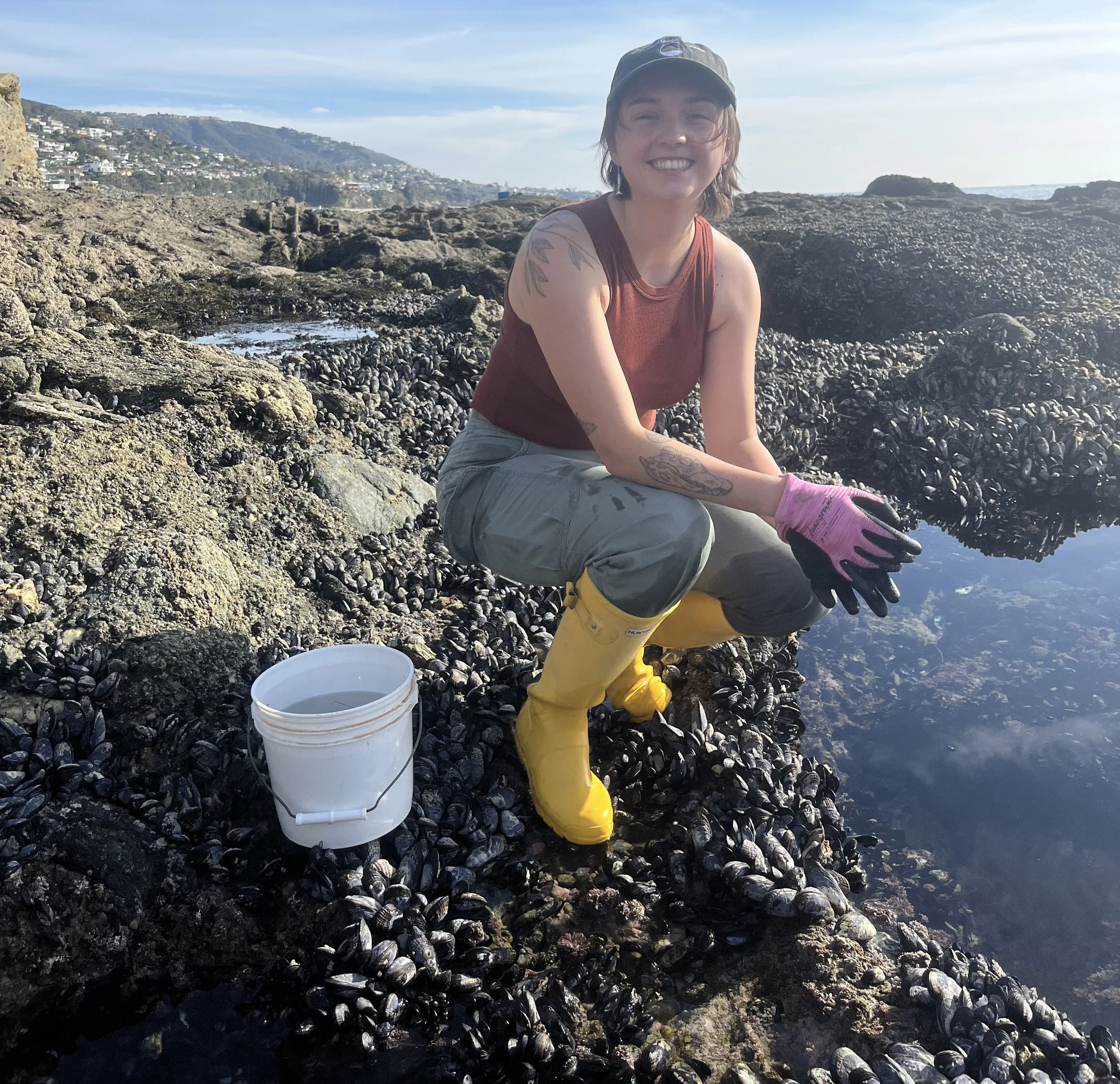 Collecting Sea Urchins in SoCal