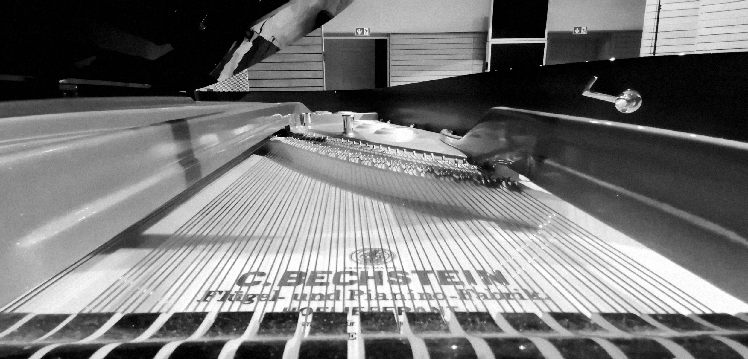 Innenaufnahme eines Bechstein Klaviers, Blick auf die Saiten und Mechanik, in Schwarz-Weiß, mit Blick von unten nach oben.