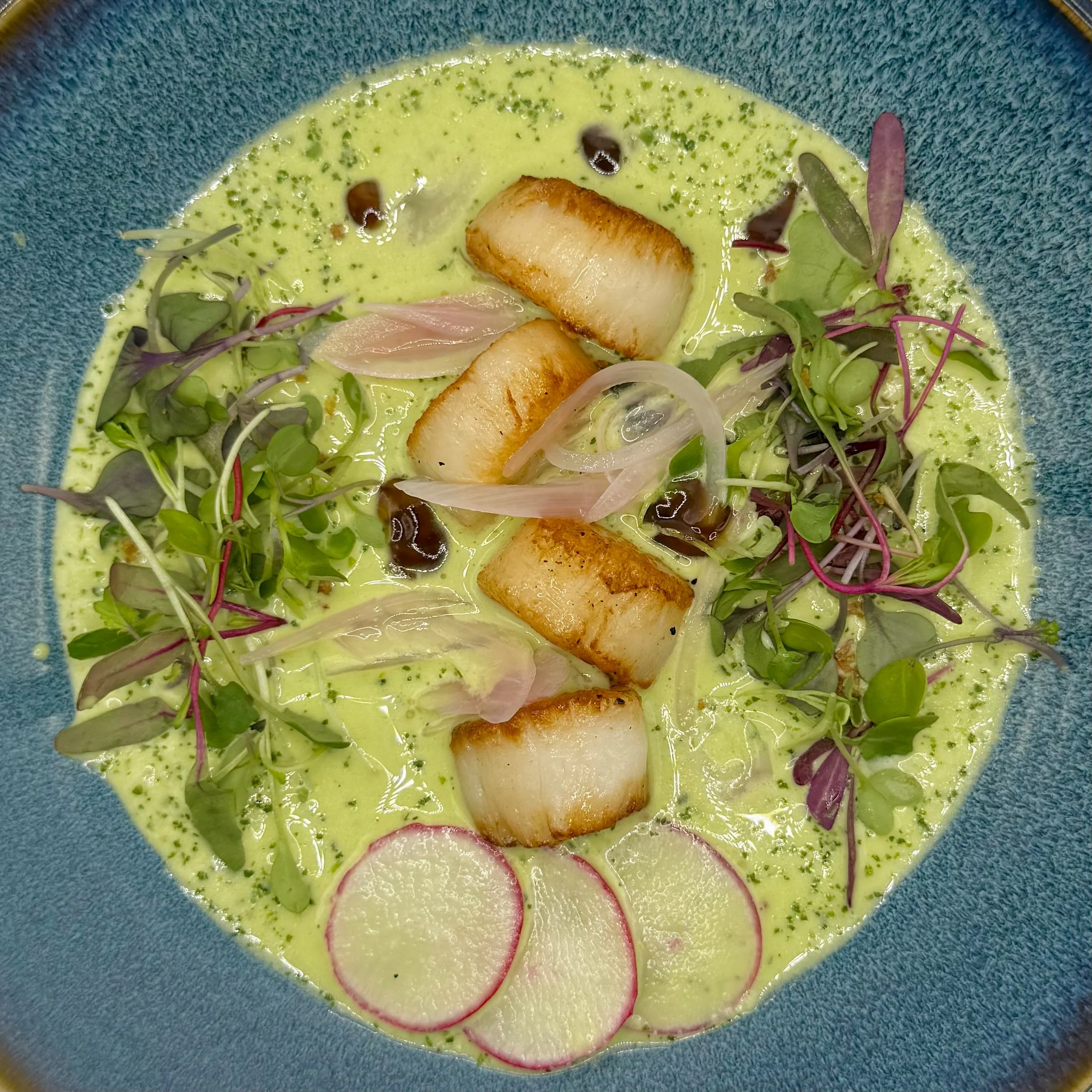 Perfectly seared scallops nestled in a vibrant Serrano-Cilantro sauce, accented with pickled shallots, crisp microgreens, and delicate radish rounds to create depth and visual drama. 