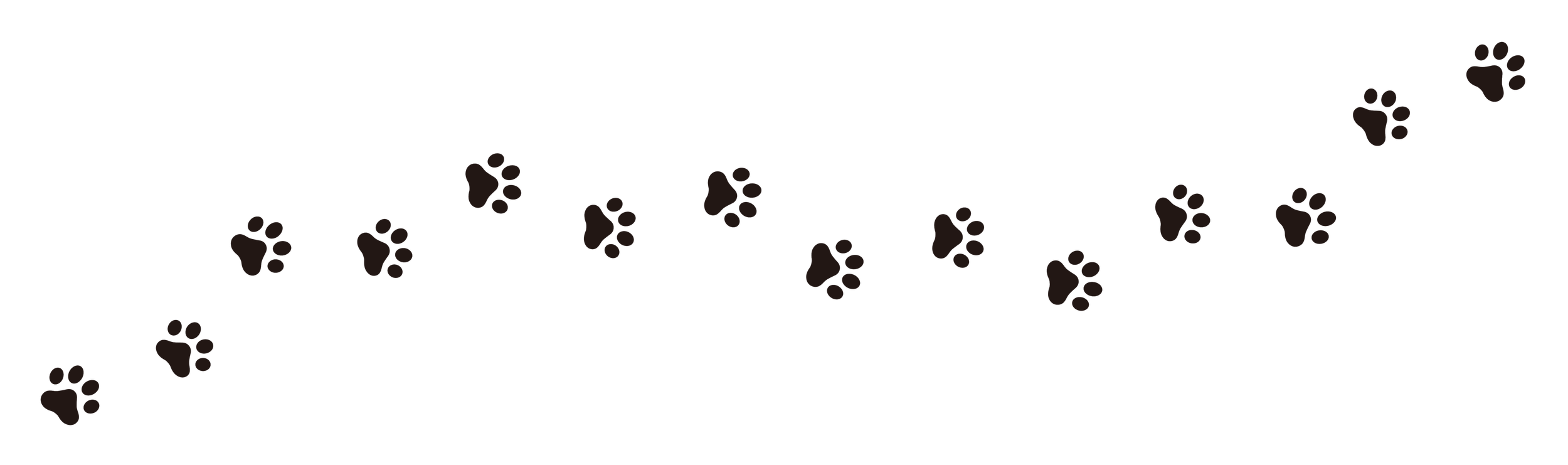 Dog paw prints moving from left to right across a black background.
