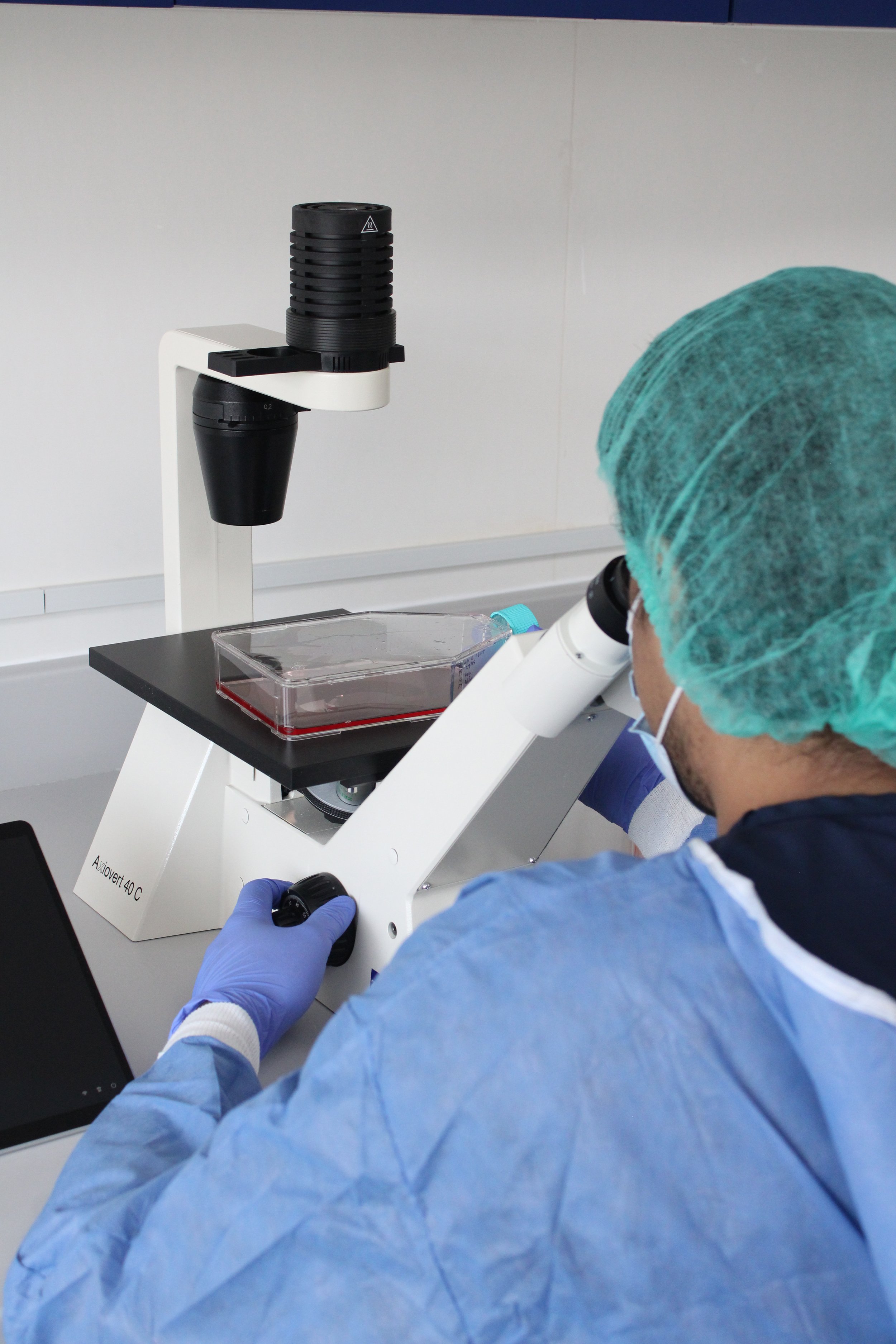 A scientist wearing a turquoise hairnet, face mask, and blue gloves working with a microscope in a laboratory. A petri dish is placed on the microscope's stage.