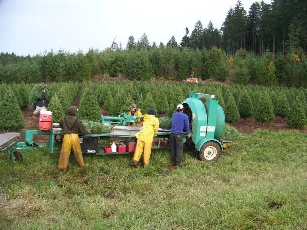 CT harvest 2.jpg