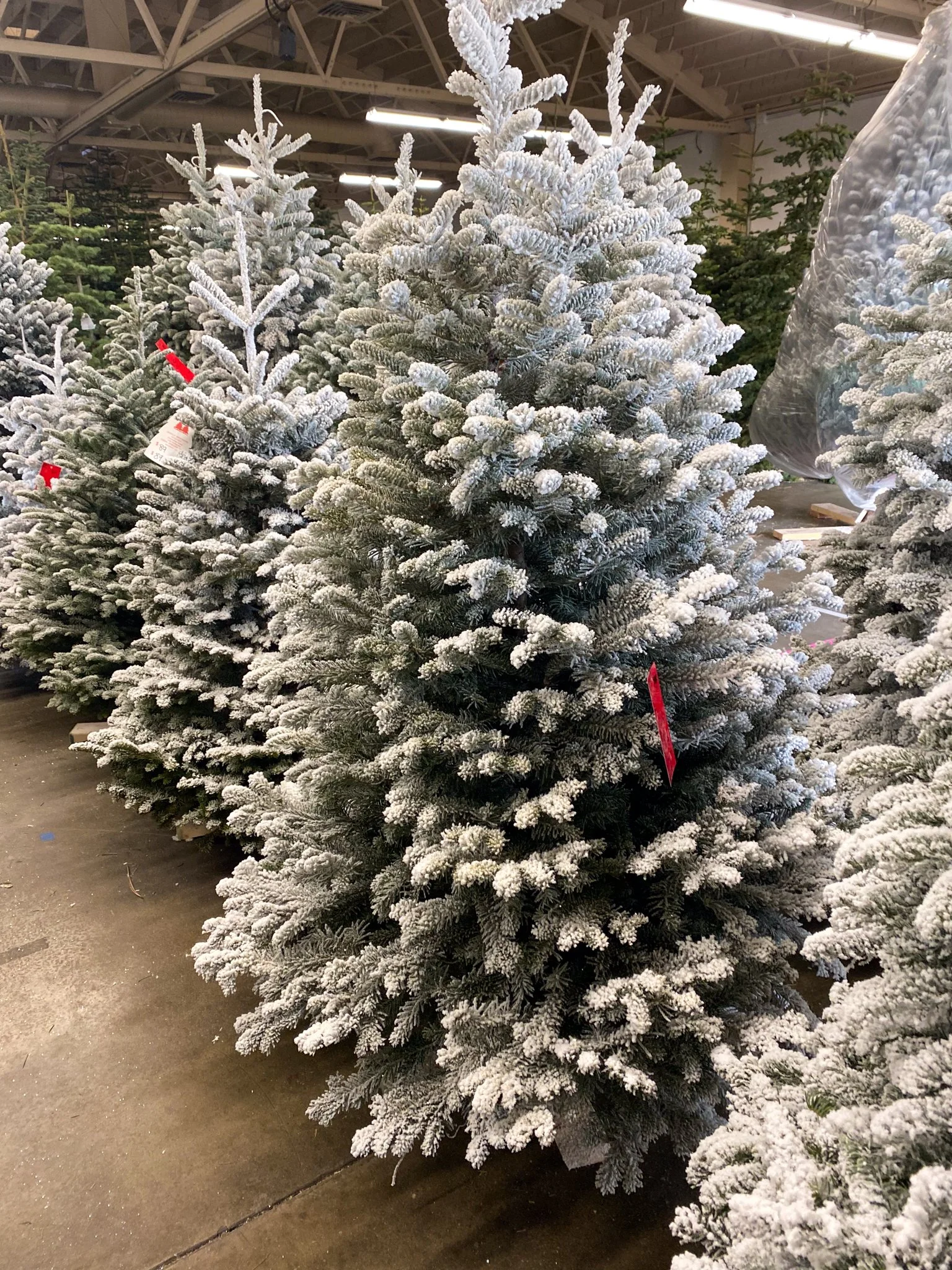 Custom flocked Christmas tree in Lodi, California with professionally applied artificial snow for a winter wonderland look