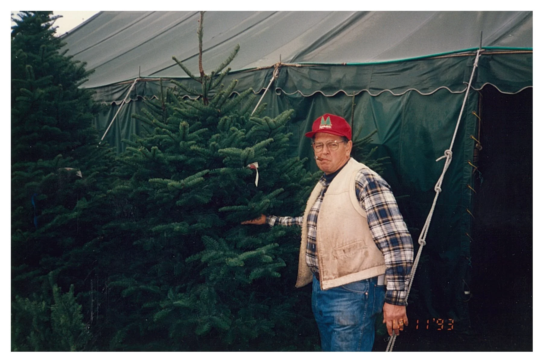 A man wearing glasses, a red cap, a plaid shirt, and a beige vest stands in front of Christmas trees in a greenhouse or Christmas tree lot, with one hand touching a tree. The timestamp on the photo reads November 1993.
