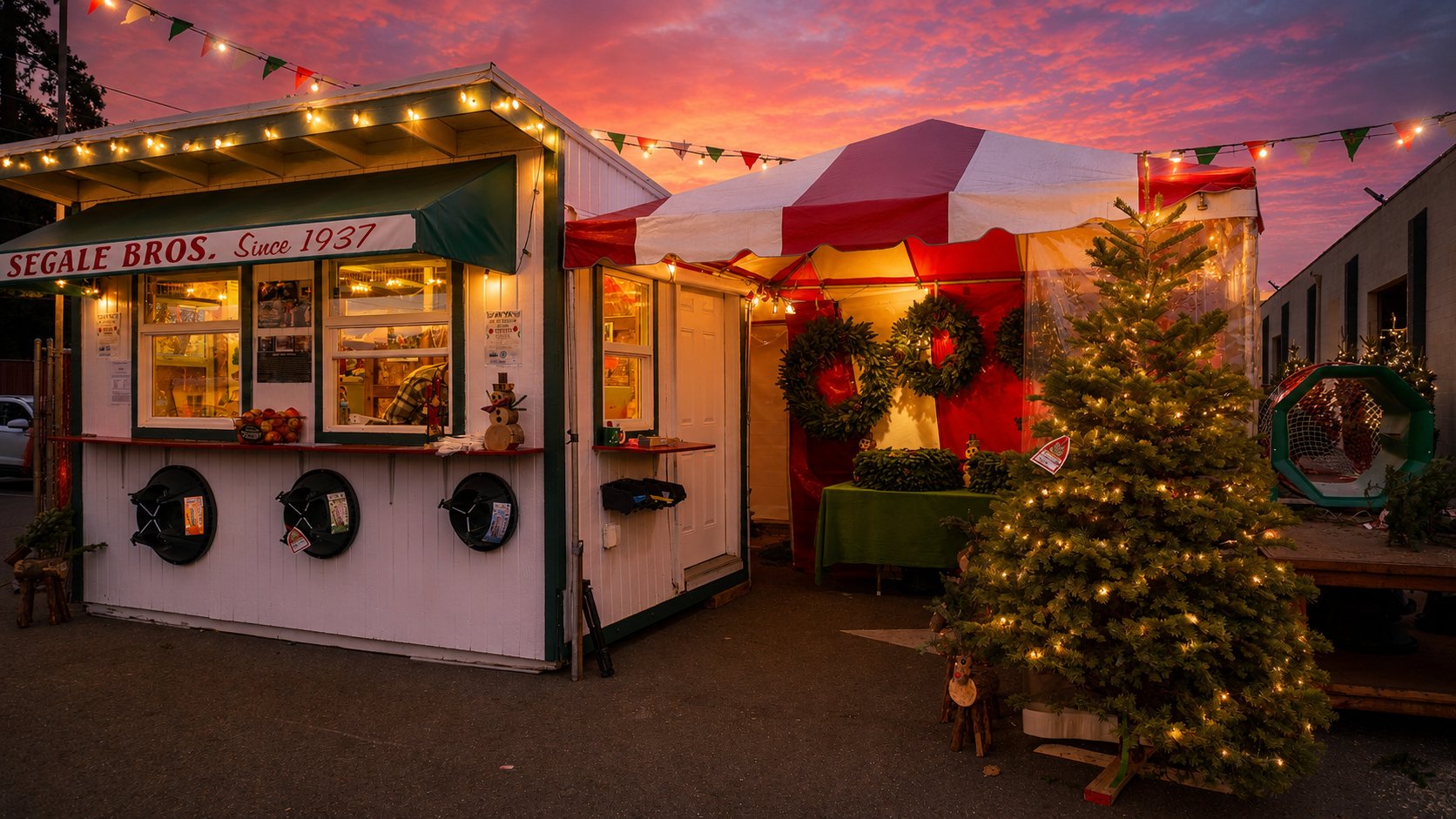 Festive outdoor Christmas market stall with decorated trees, wreaths, and holiday lighting during sunset. Fresh Christmas trees at the Segale Bros tree stand in Lodi, California during the holiday season