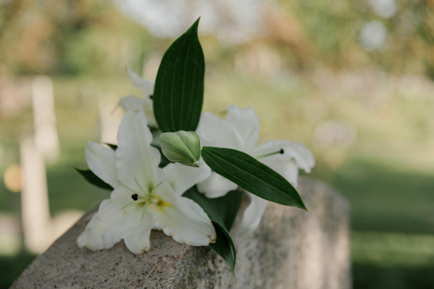 Flowers on a headstone, representing a certified copy of a San Mateo County death certificate