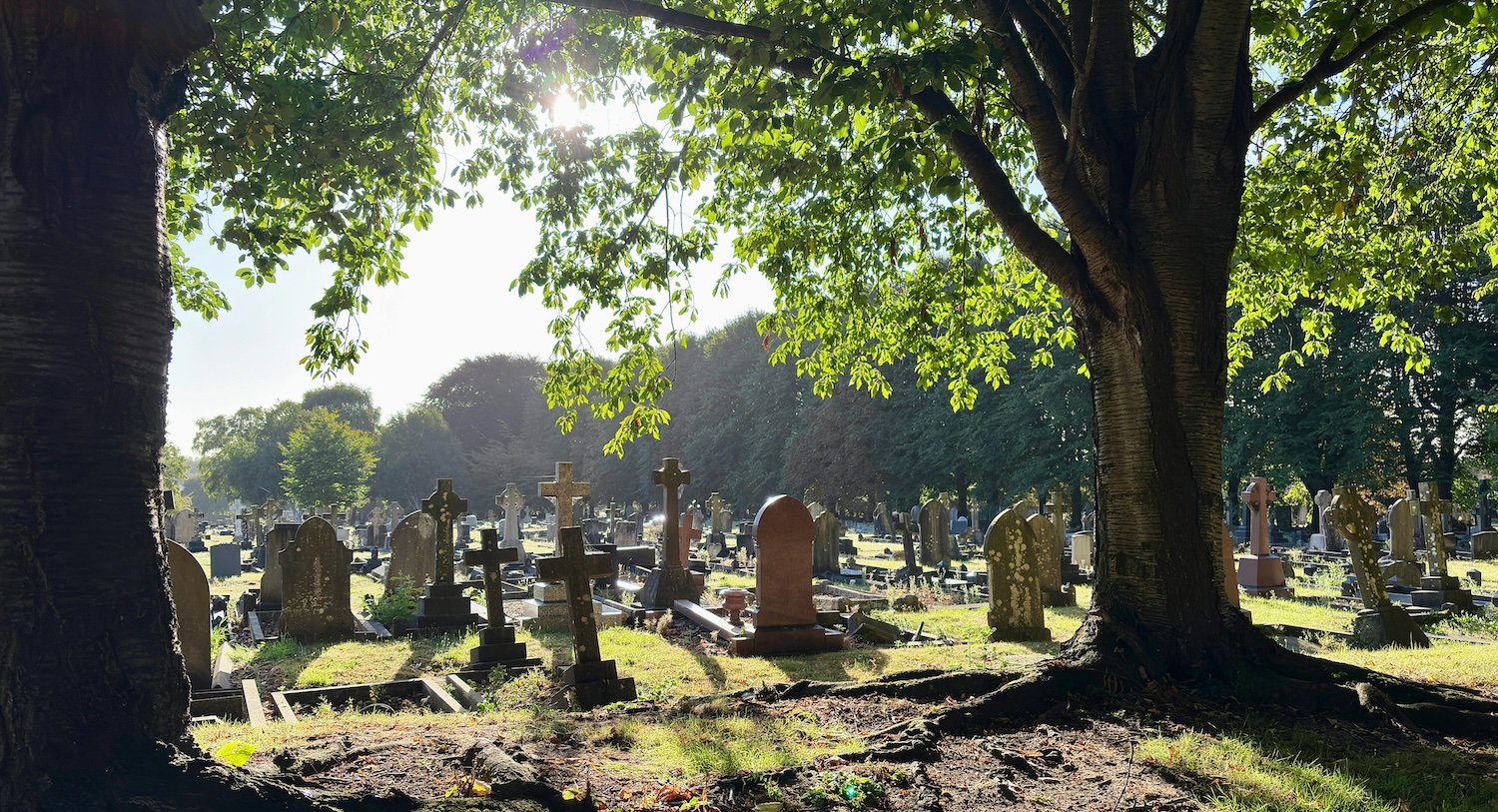 Sunlight shining on a graveyard, representing a certified copy of a San Francisco County death certificate