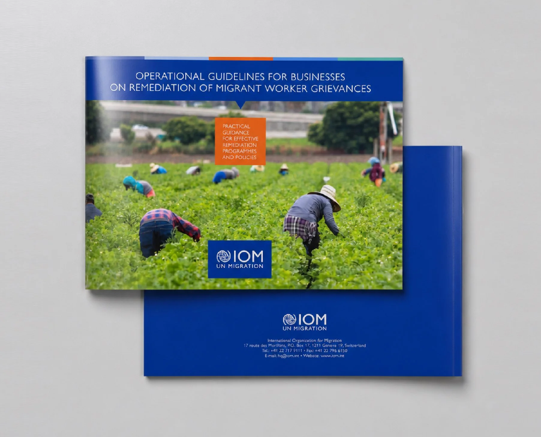 Operational guidelines for businesses on remediation of migrant worker grievances Image