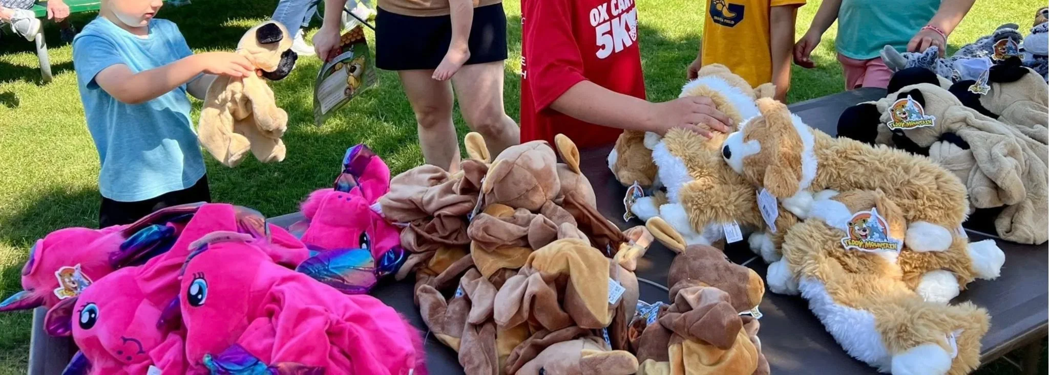 Build-A-Buddy Workshop $