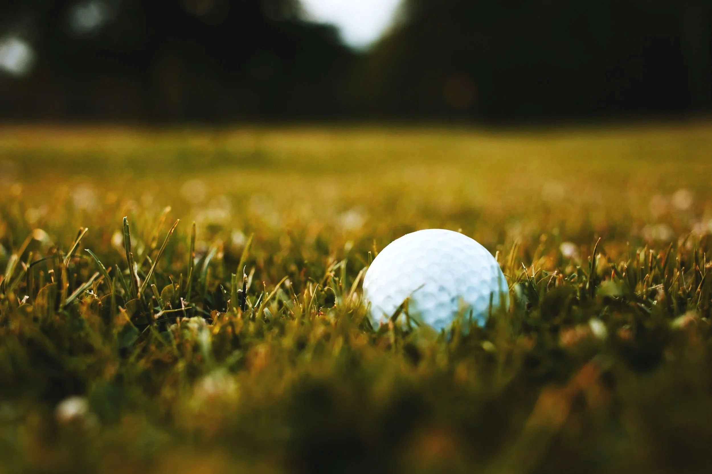 United Way Golf Ball Drop $