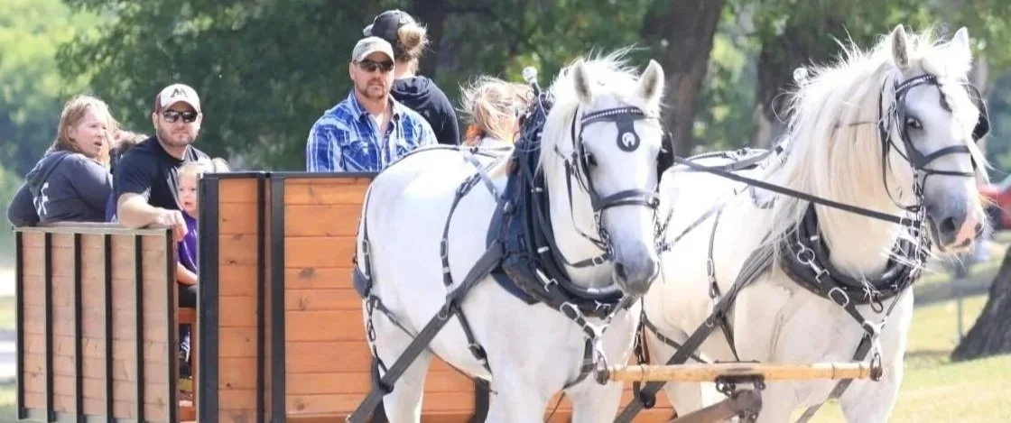 Horse Wagon Rides