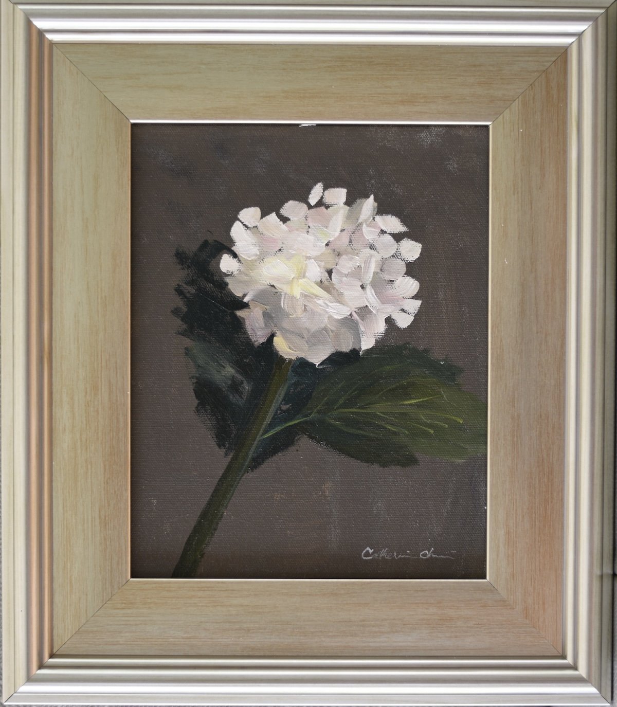 Hydrangea
