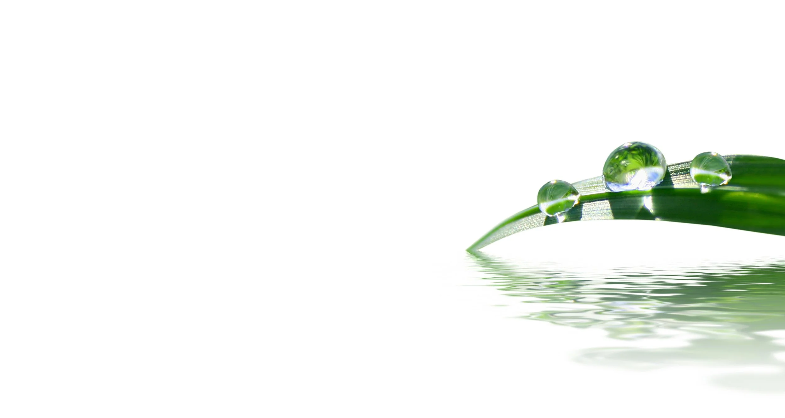 Close-up of a green leaf with four water droplets on it, reflecting greenery and sky, with a water reflection below.