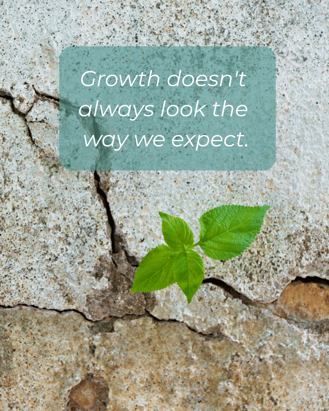 Green plant growing through cracks in a stone wall with a motivational quote overlay that reads, 'Growth doesn't always look the way we expect.'