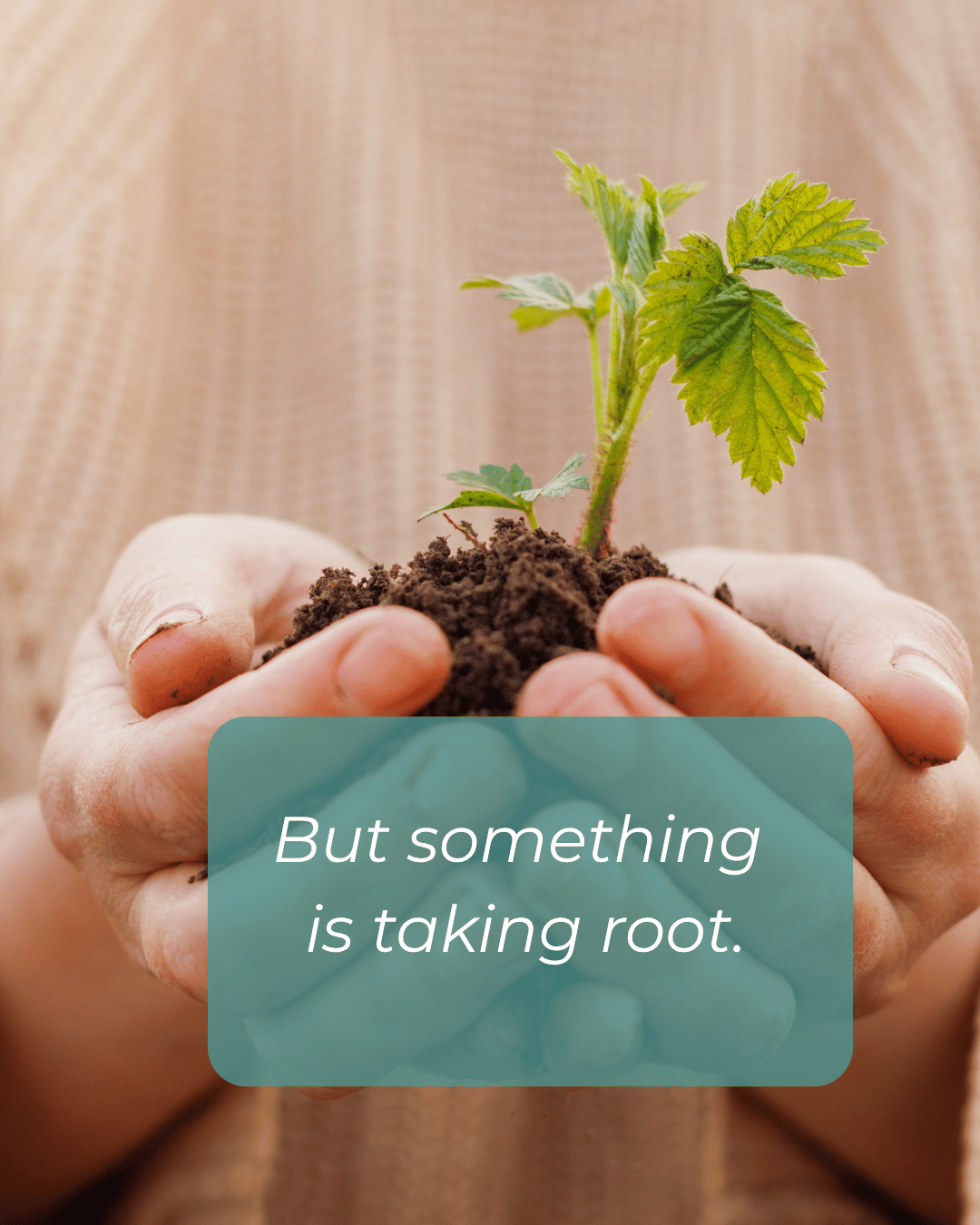 Close-up of hands holding soil with a young plant growing out of it. Text overlay reads: 'But something is taking root.'