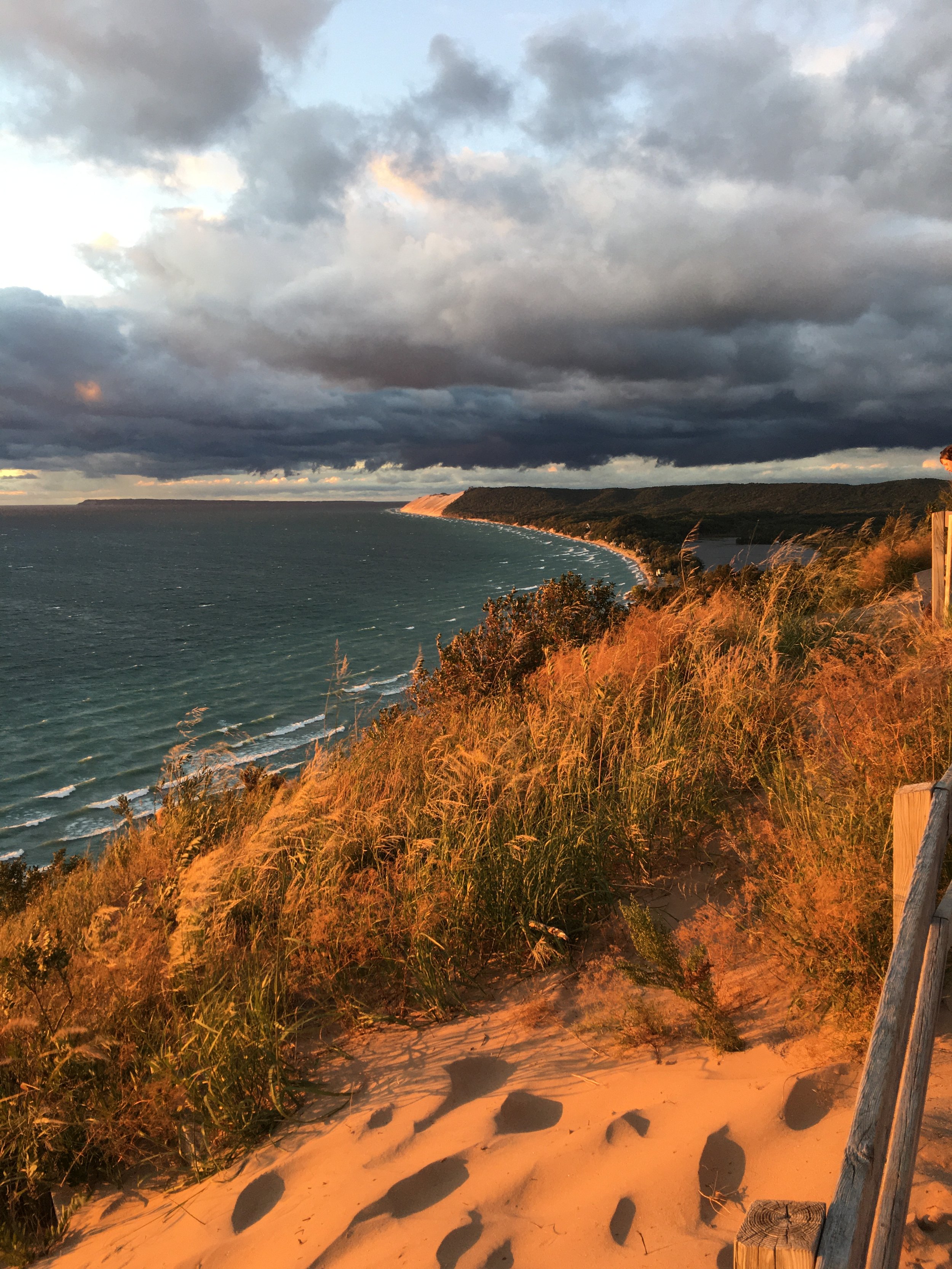 A coastal cliffside with tall grass and shrubs, overlooking the ocean under a cloudy sky at sunset.