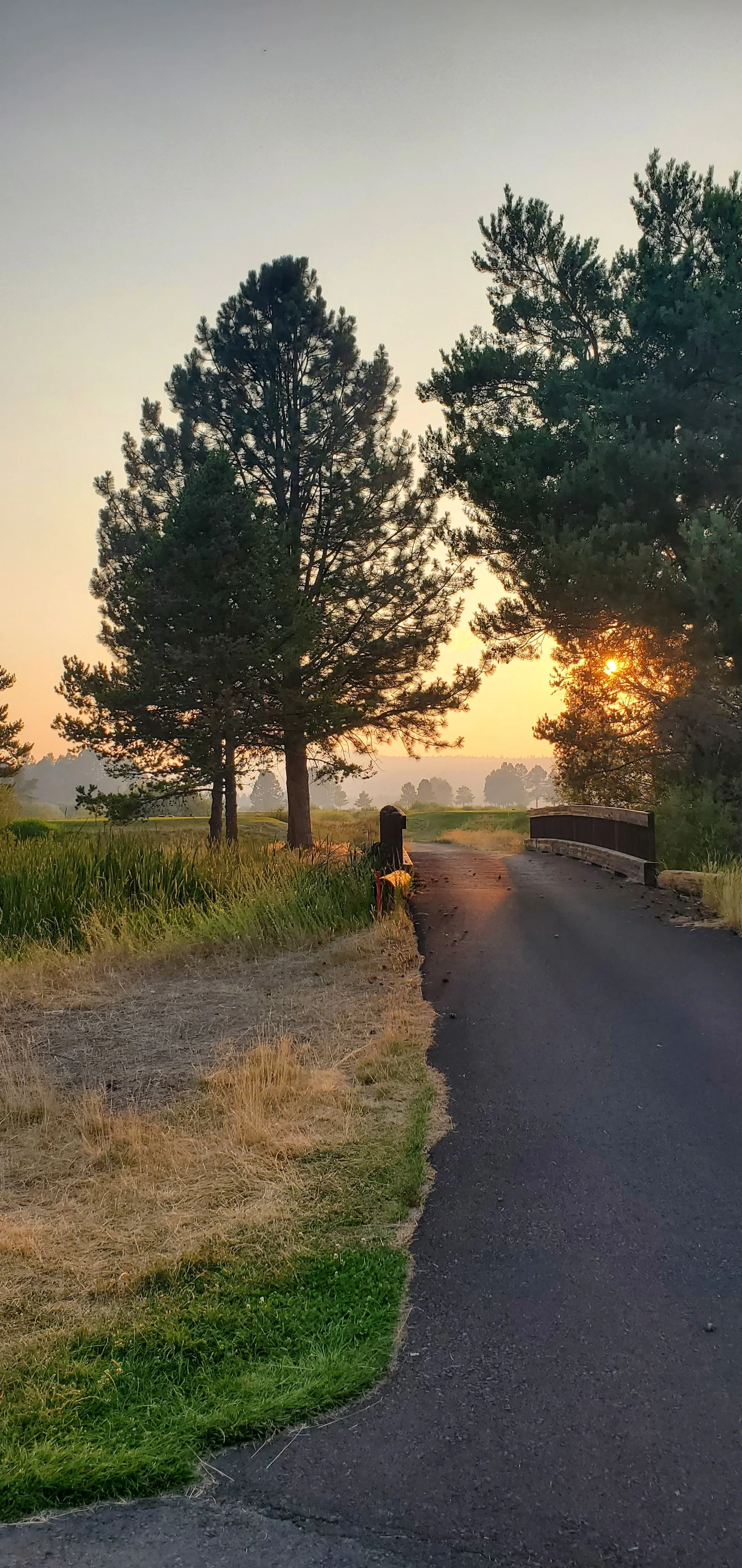 A small bridge over a paved rural road with trees and fields in the background during sunset.