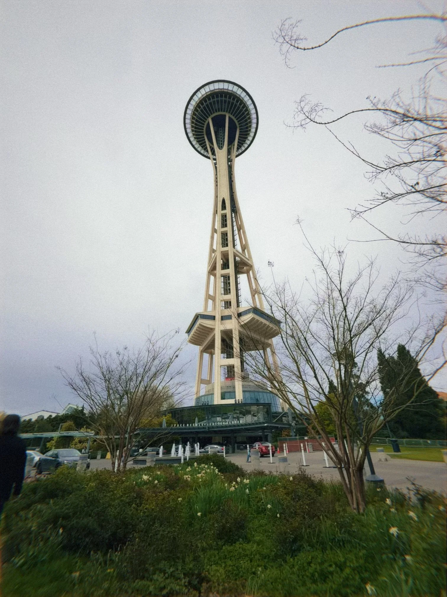 IMG_7042.jpeg