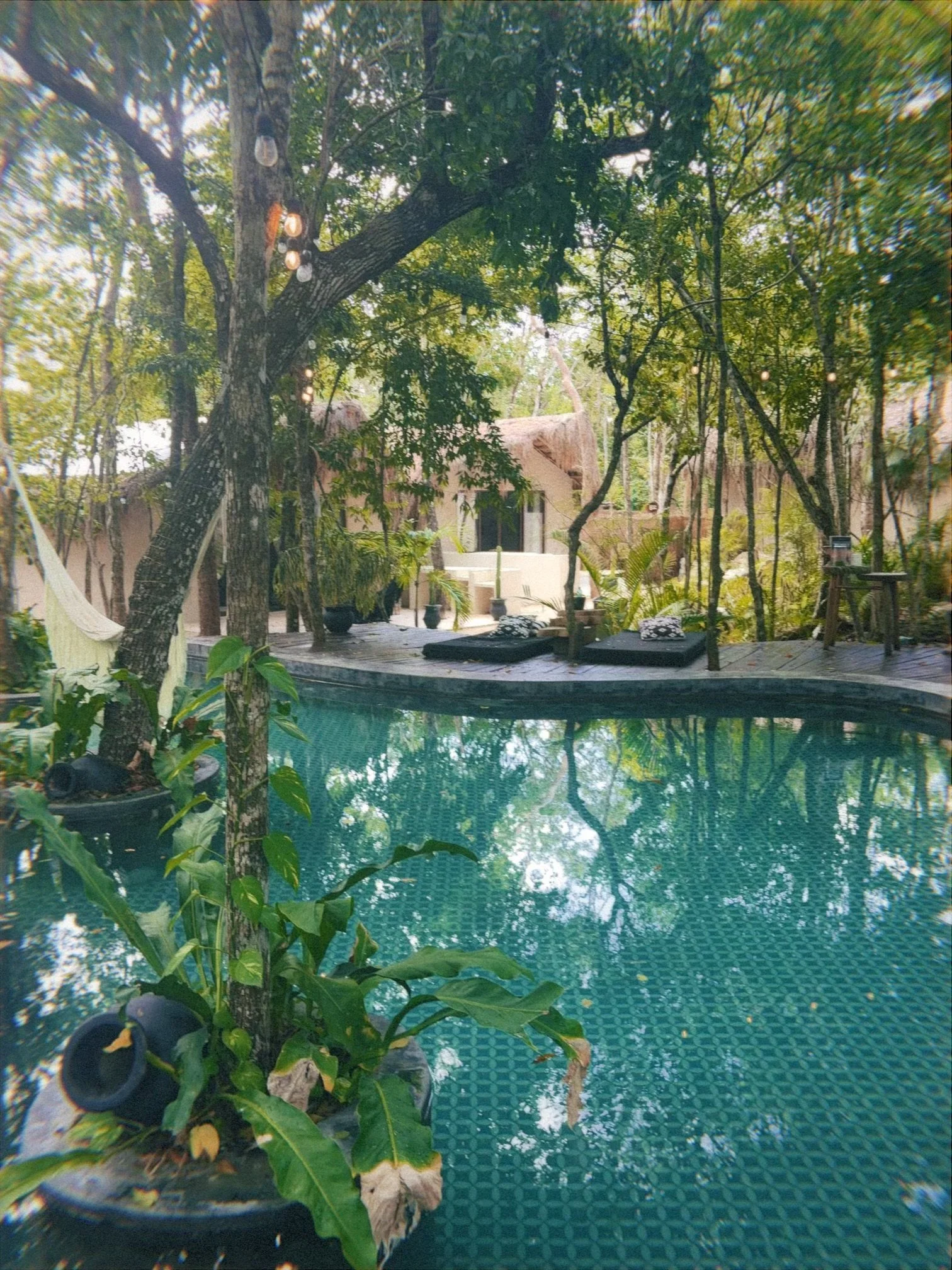 The Yellow Nest Spa