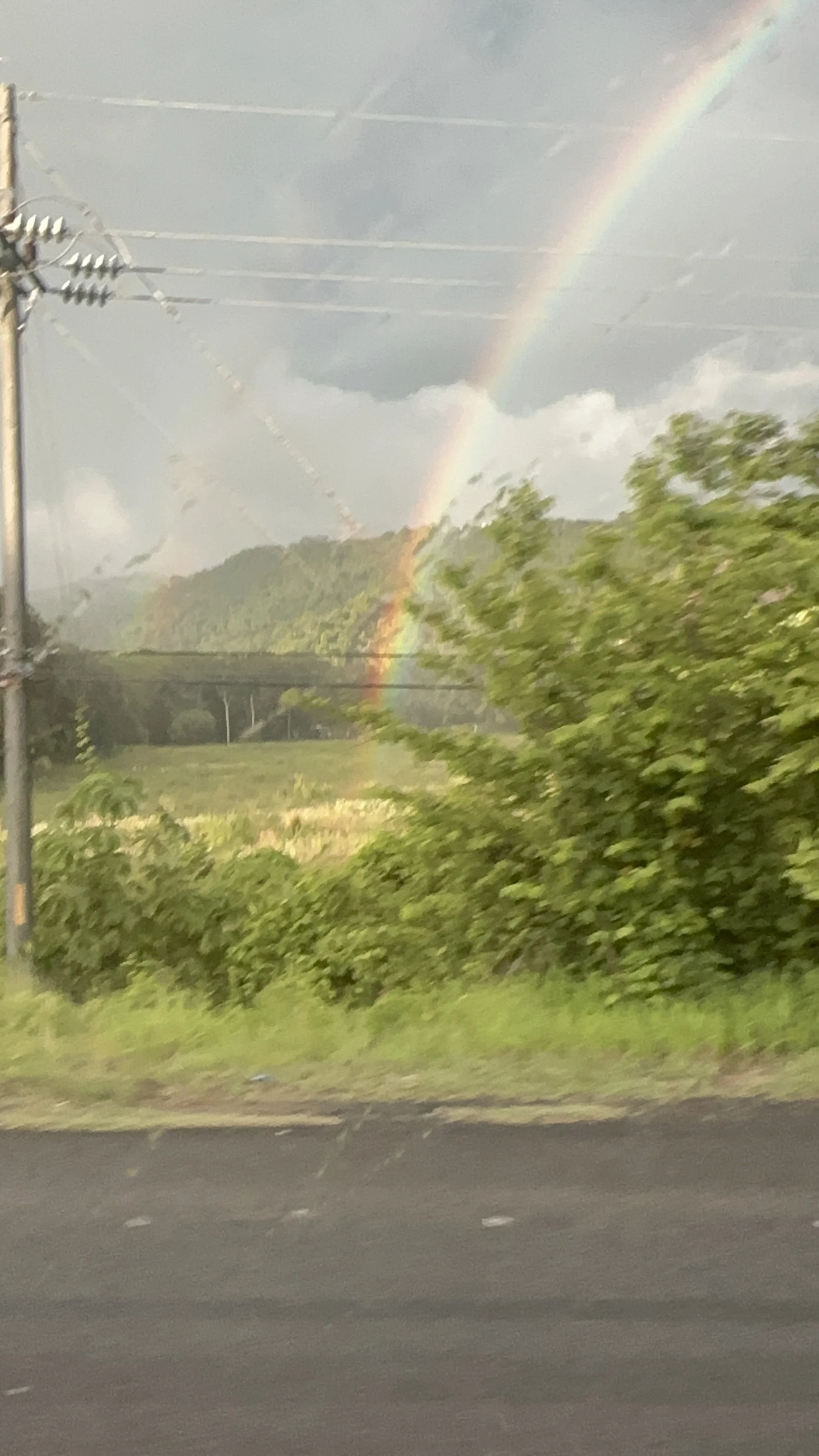 IMG_5251.jpeg