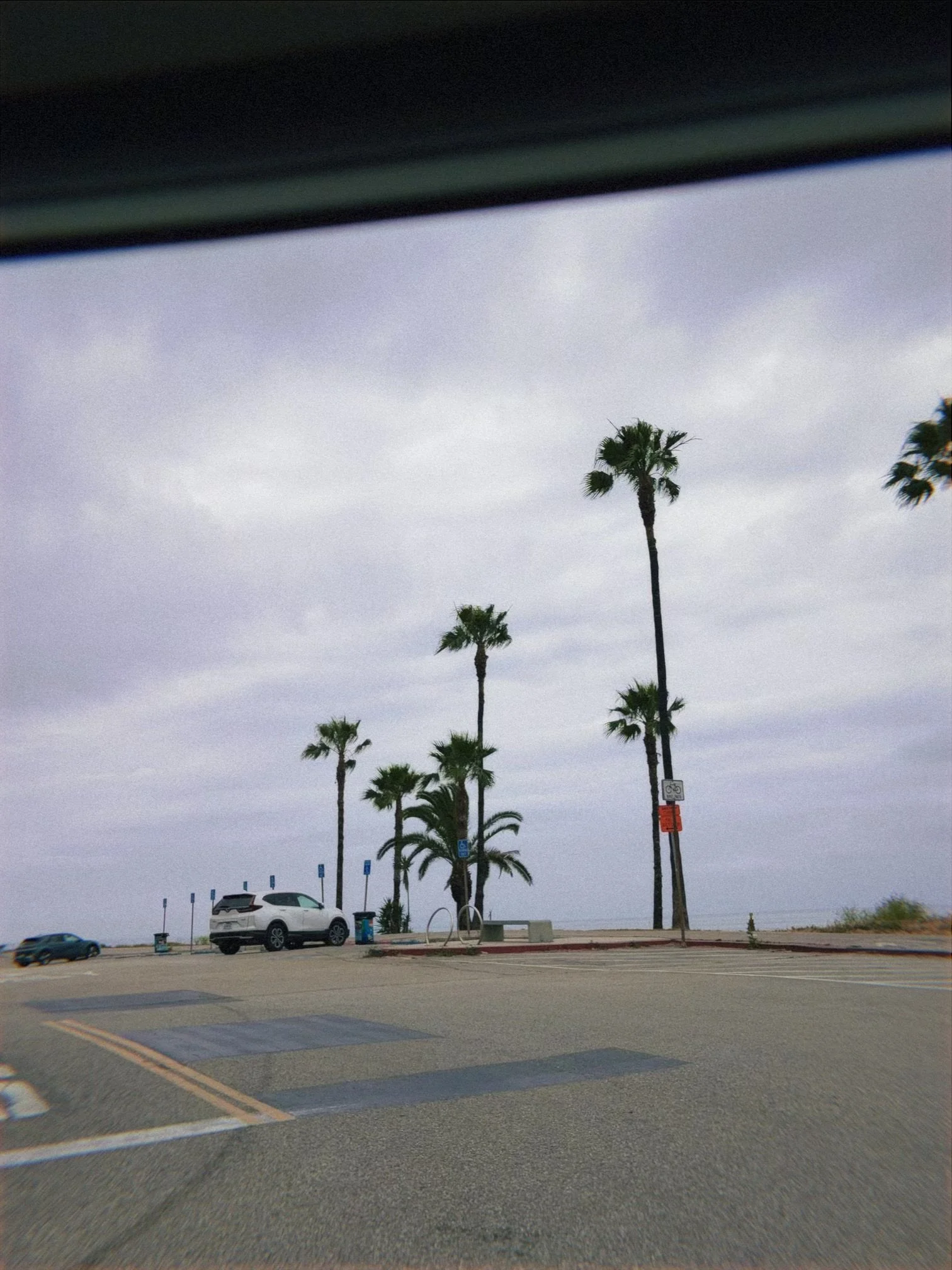 IMG_6424.jpeg