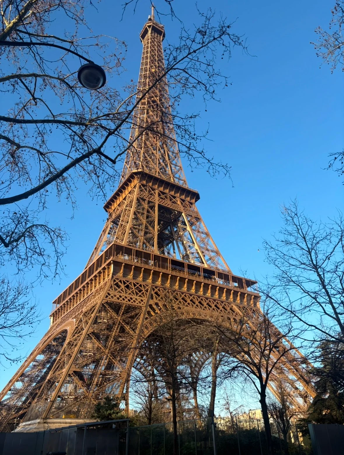 IMG_3807.jpeg