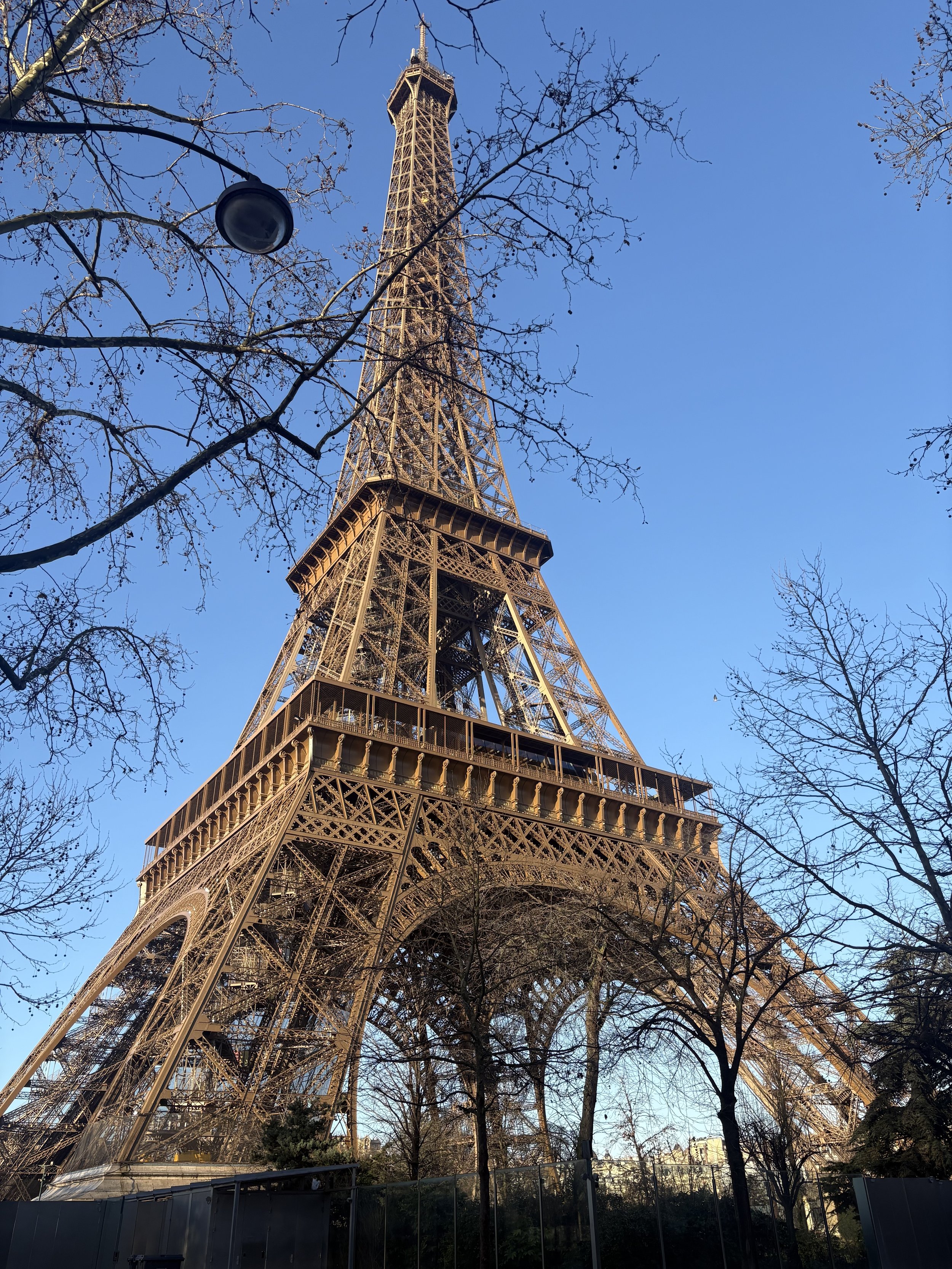 IMG_0541.jpeg