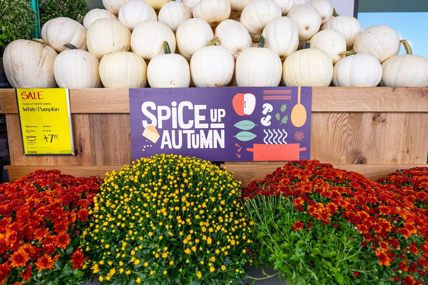 HopeMeriwether_AD_WFM_SPA_InStore.jpg