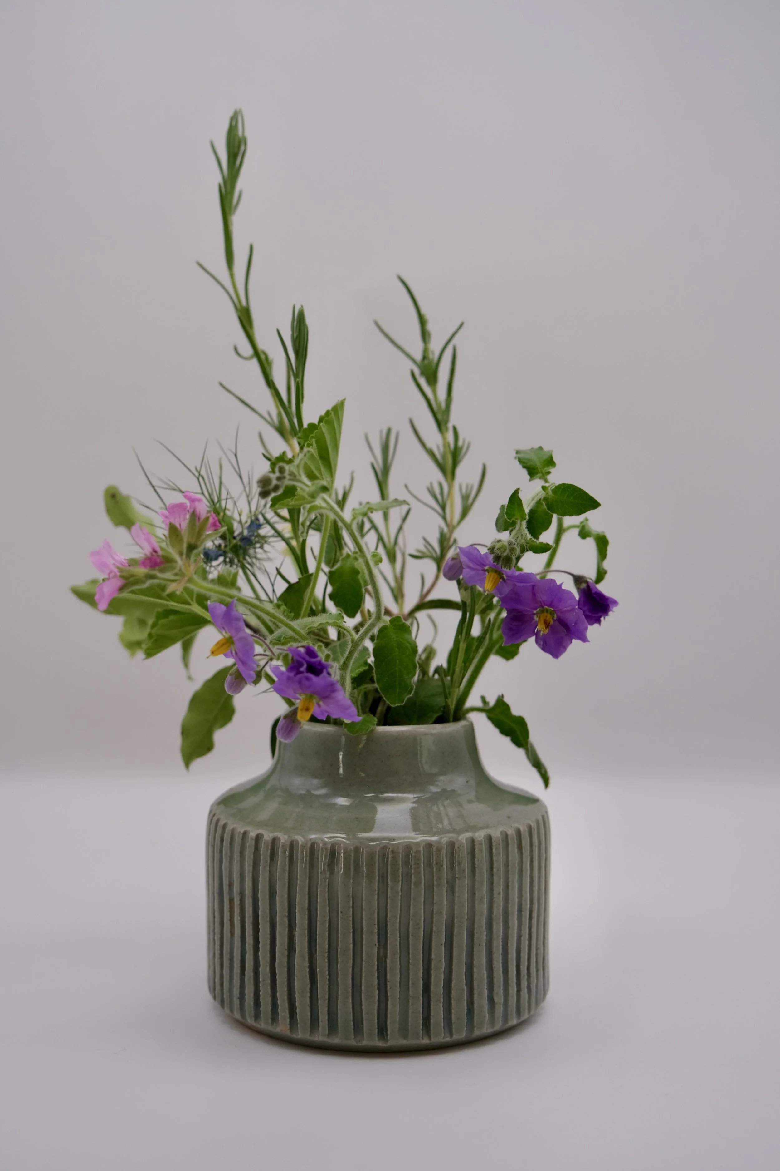 DSCF2772.JPG