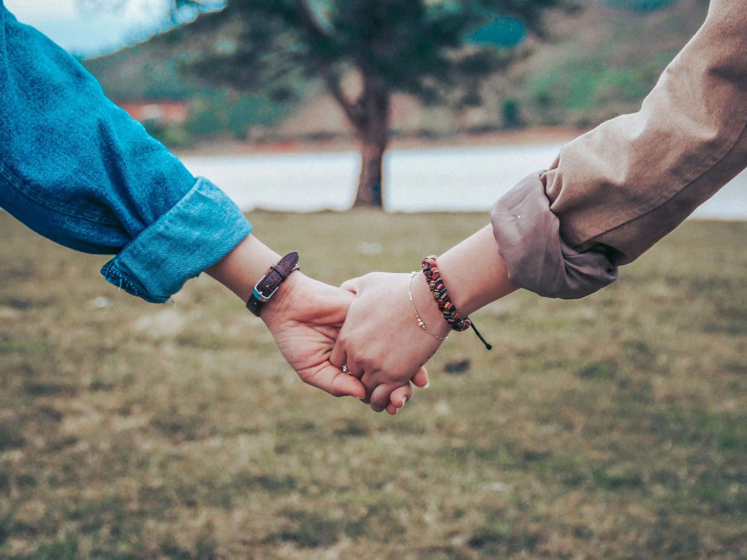 What is Emotionally Focused Couples Therapy?