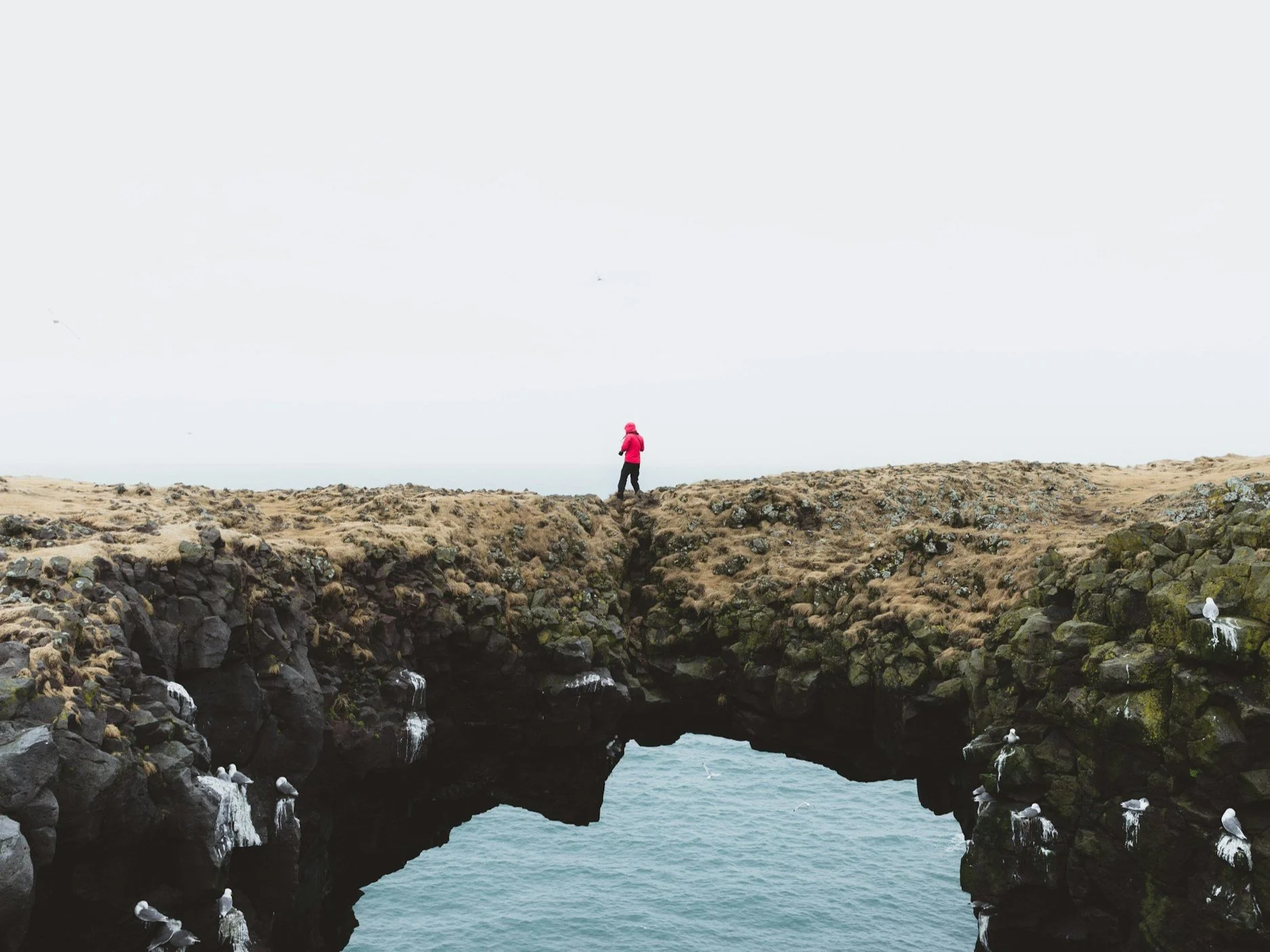 Navigating Life Transitions: Thoughts from an Overland Park Therapist 