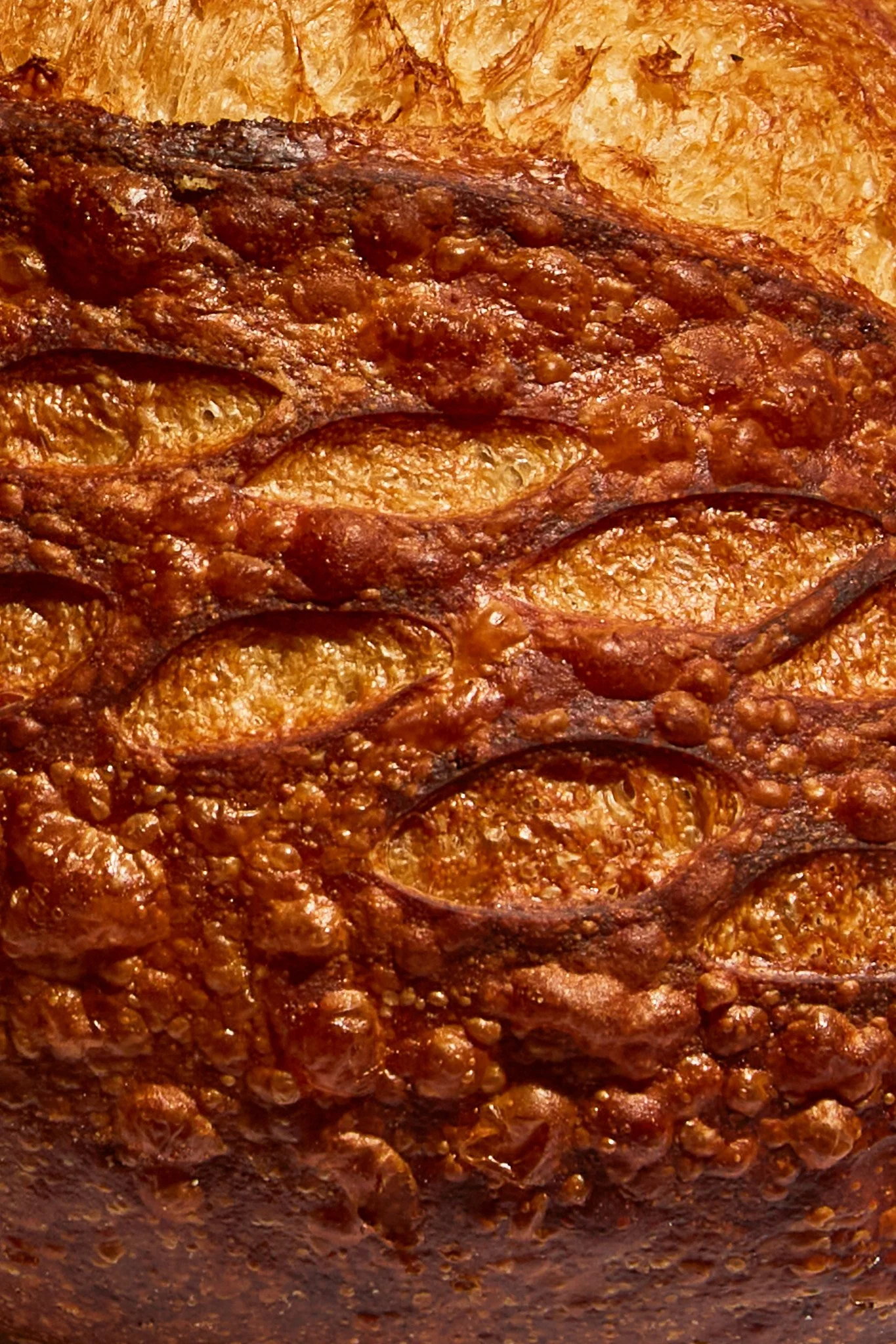 Manuela Monte Paloma Bakery 1_U5A1066.jpg