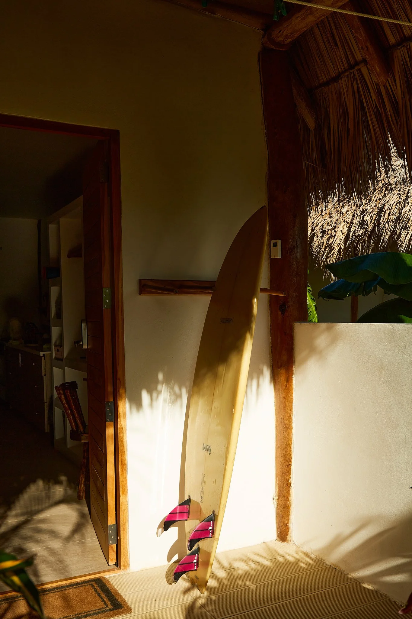 _U5A3858Manuela Monte Bananatree.jpg