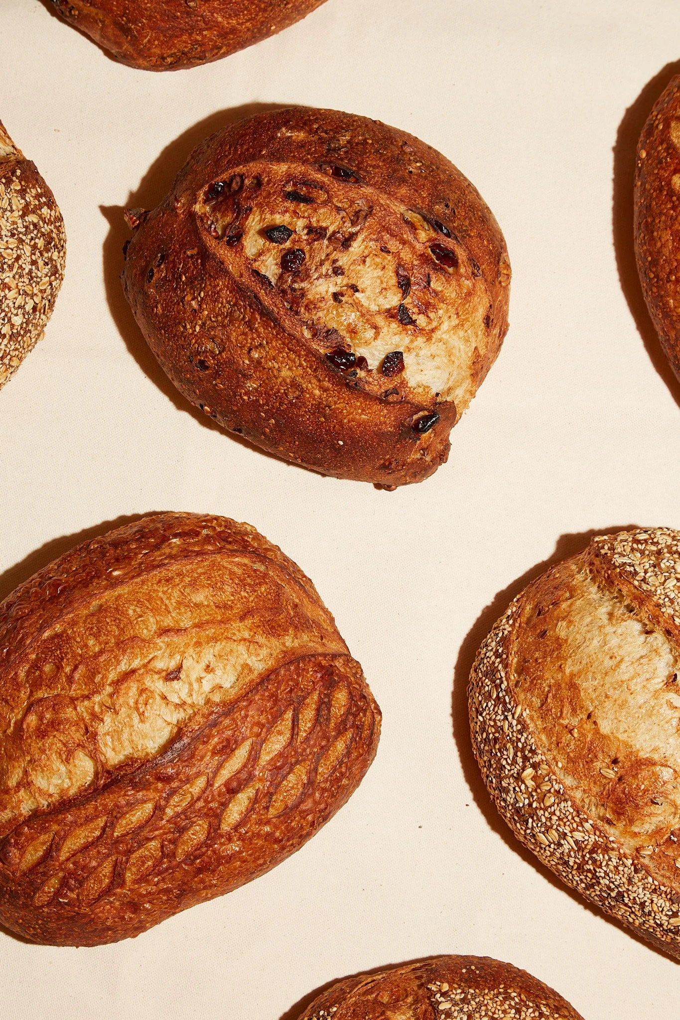 Manuela Monte Paloma Bakery 1_U5A1166.jpg