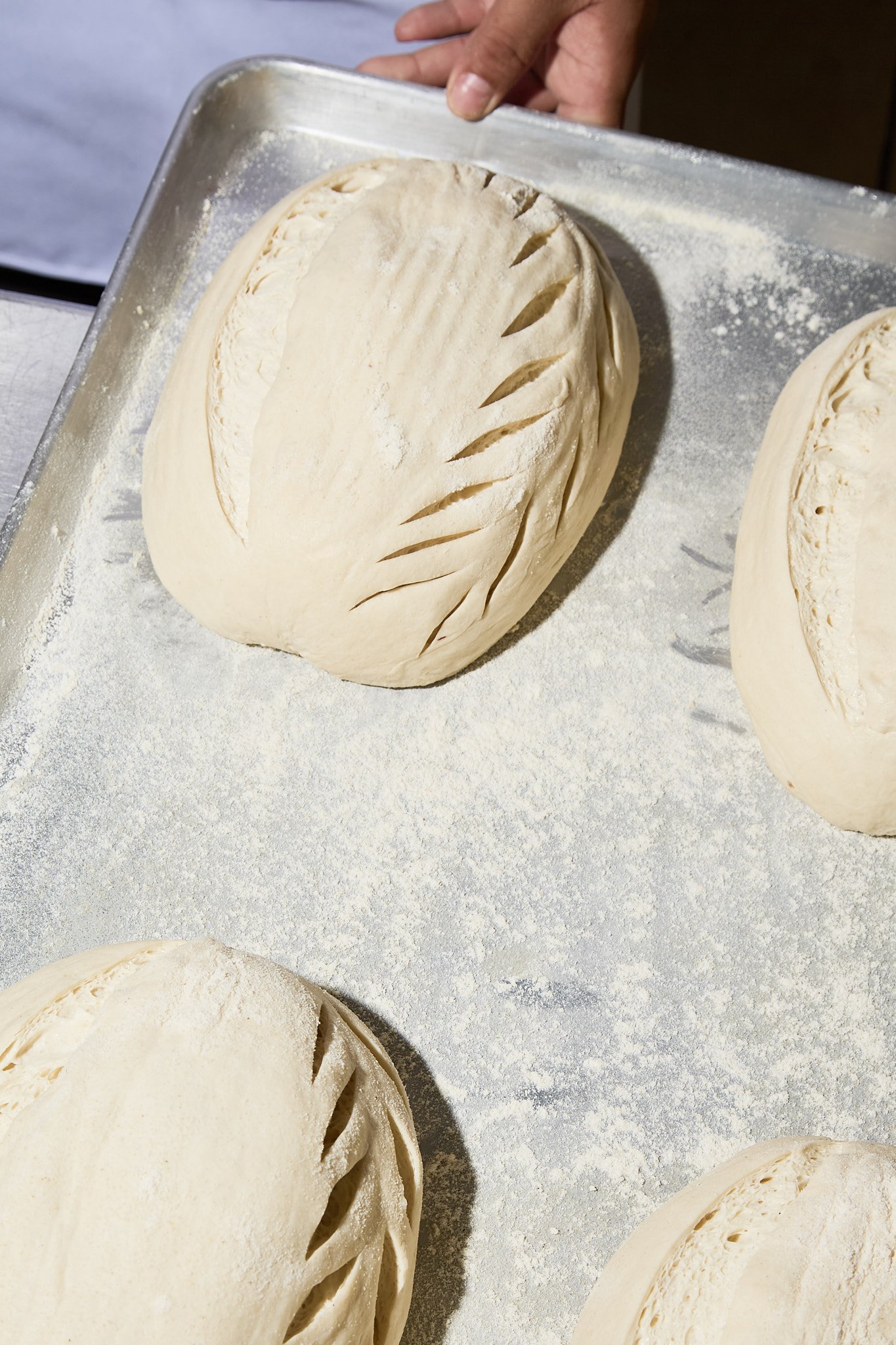Manuela Monte Paloma Bakery 1_U5A2323.jpg