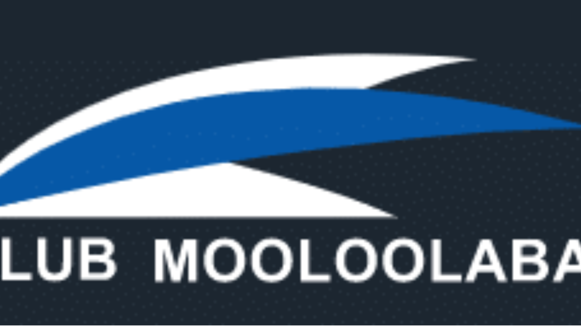 standard - 4_3.png