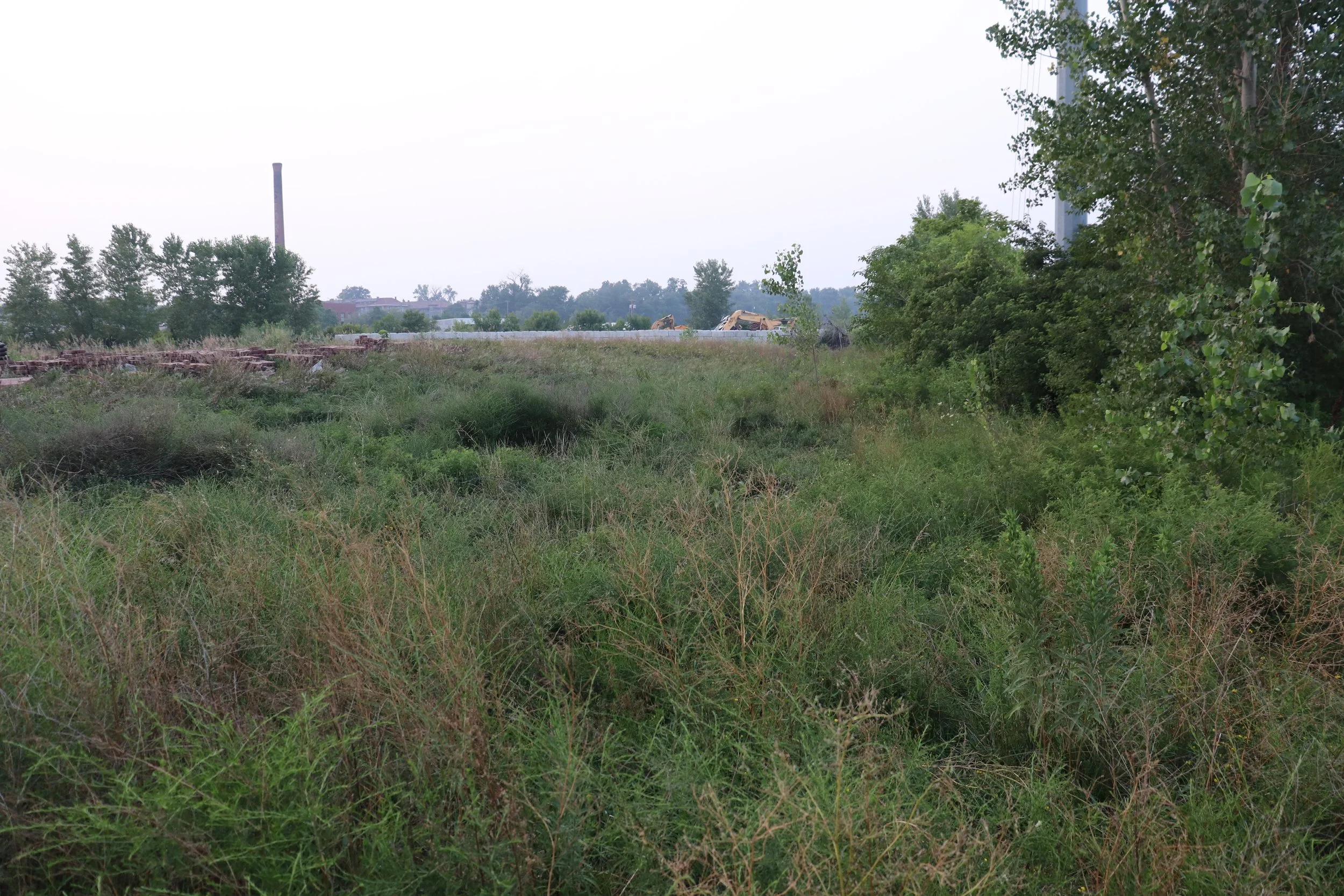 IMG_8440.JPG