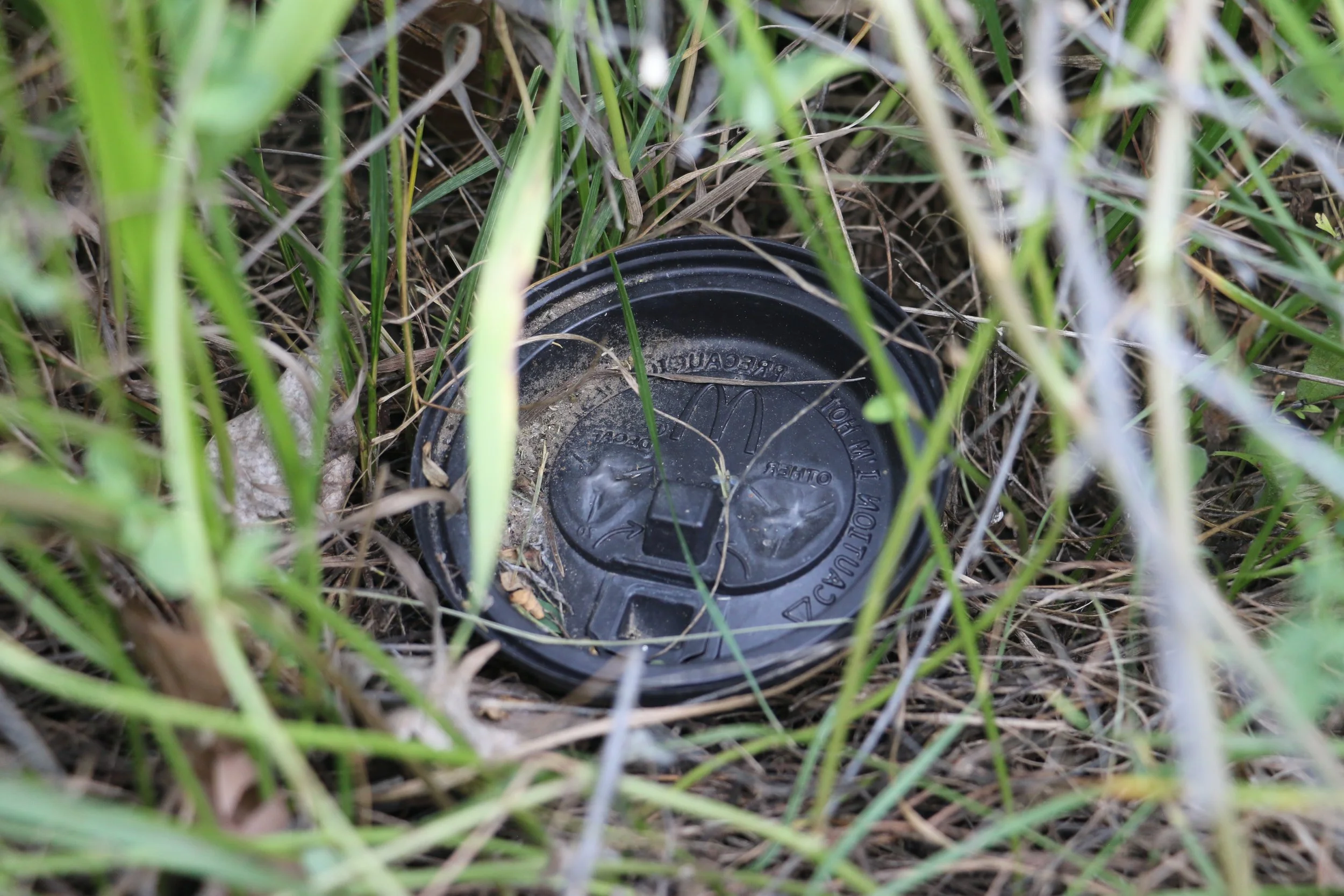 coffee cup lid.JPG